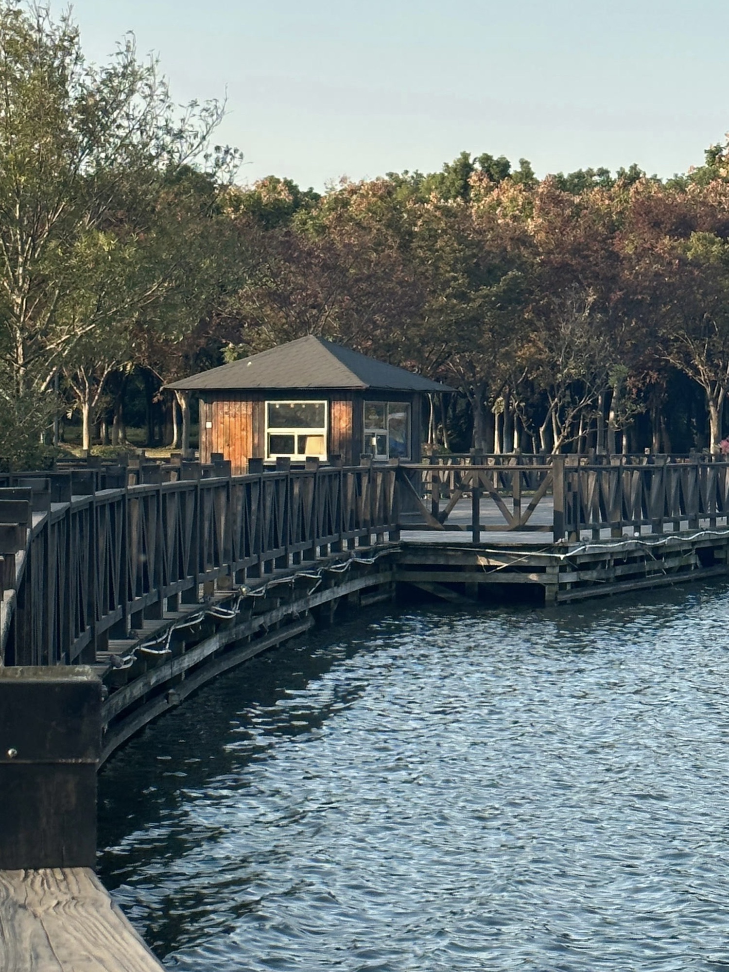 金仓湖旅行图片 2