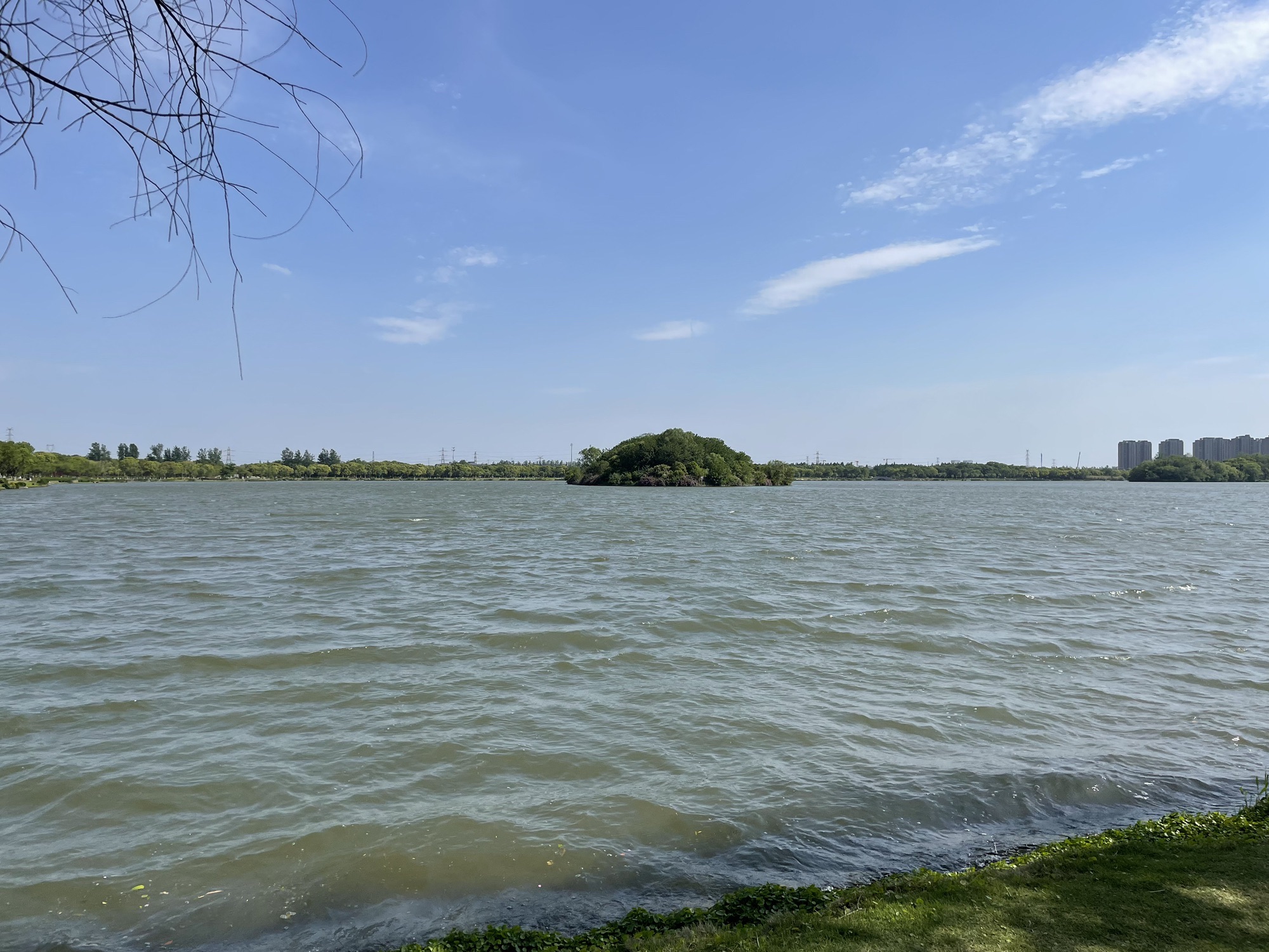 金仓湖旅行图片 3