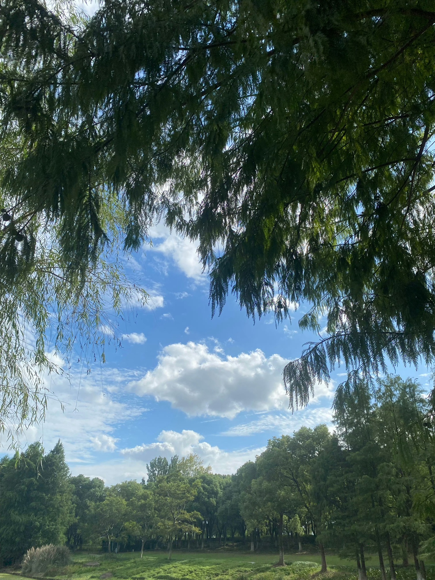 金仓湖旅行图片 3