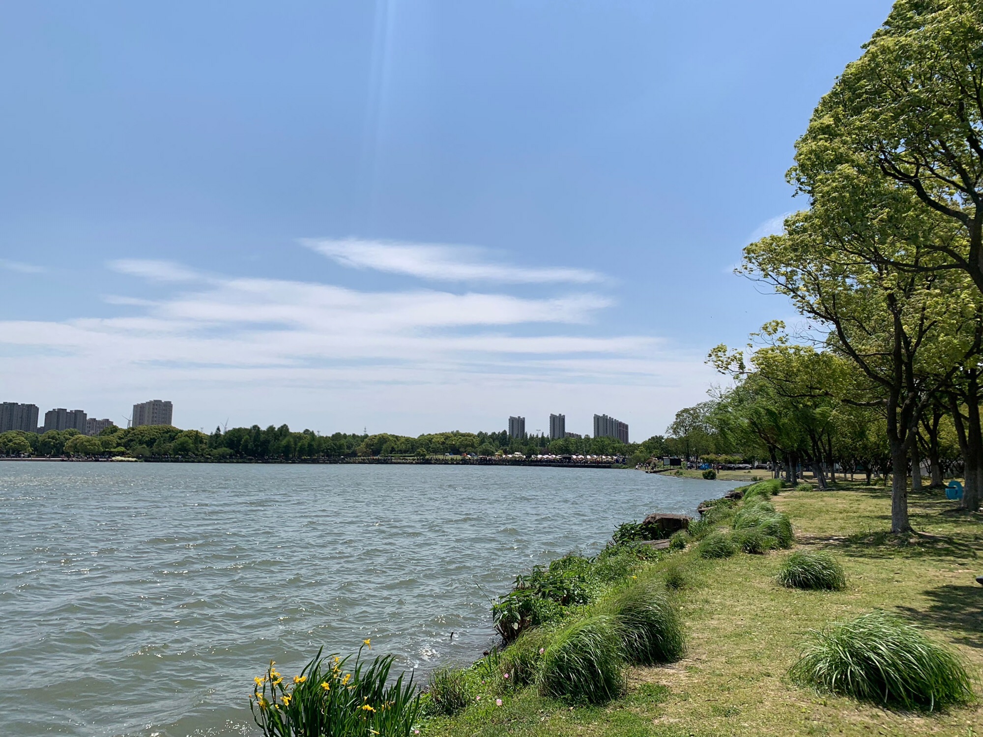 金仓湖旅行图片 3