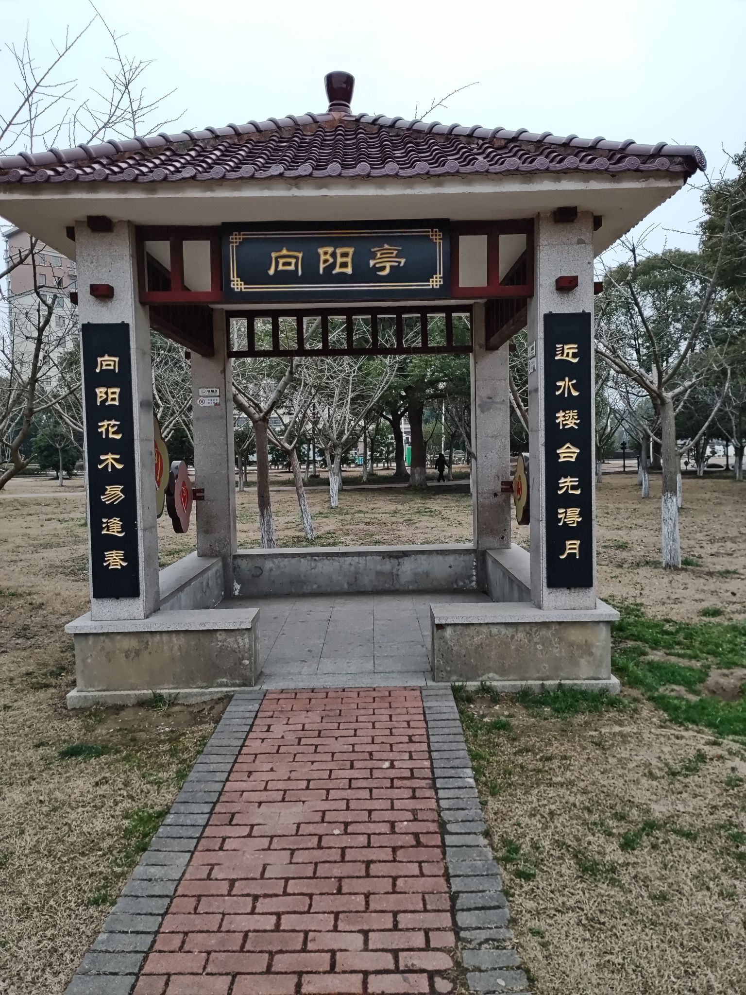 桂花公园旅行图片 1