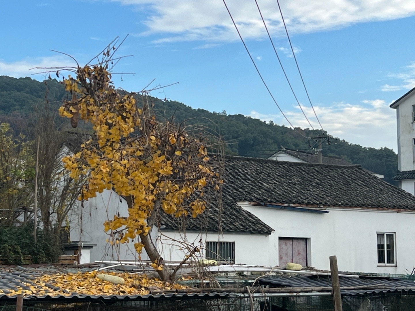 三山岛景区旅行图片 3