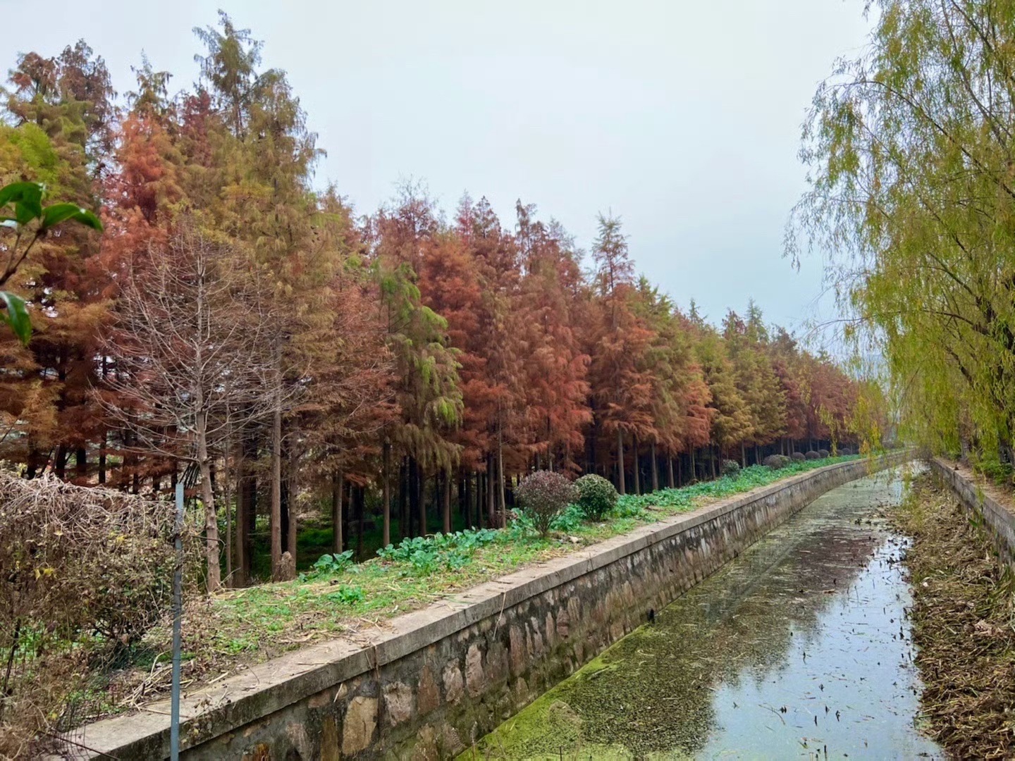 三山岛景区旅行图片 3