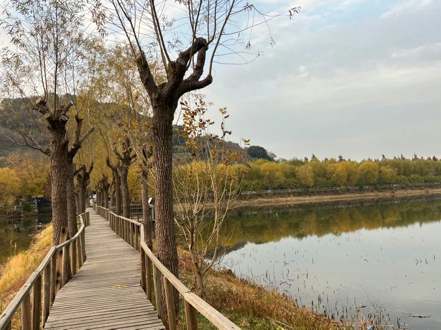 三山岛景区旅行图片 2