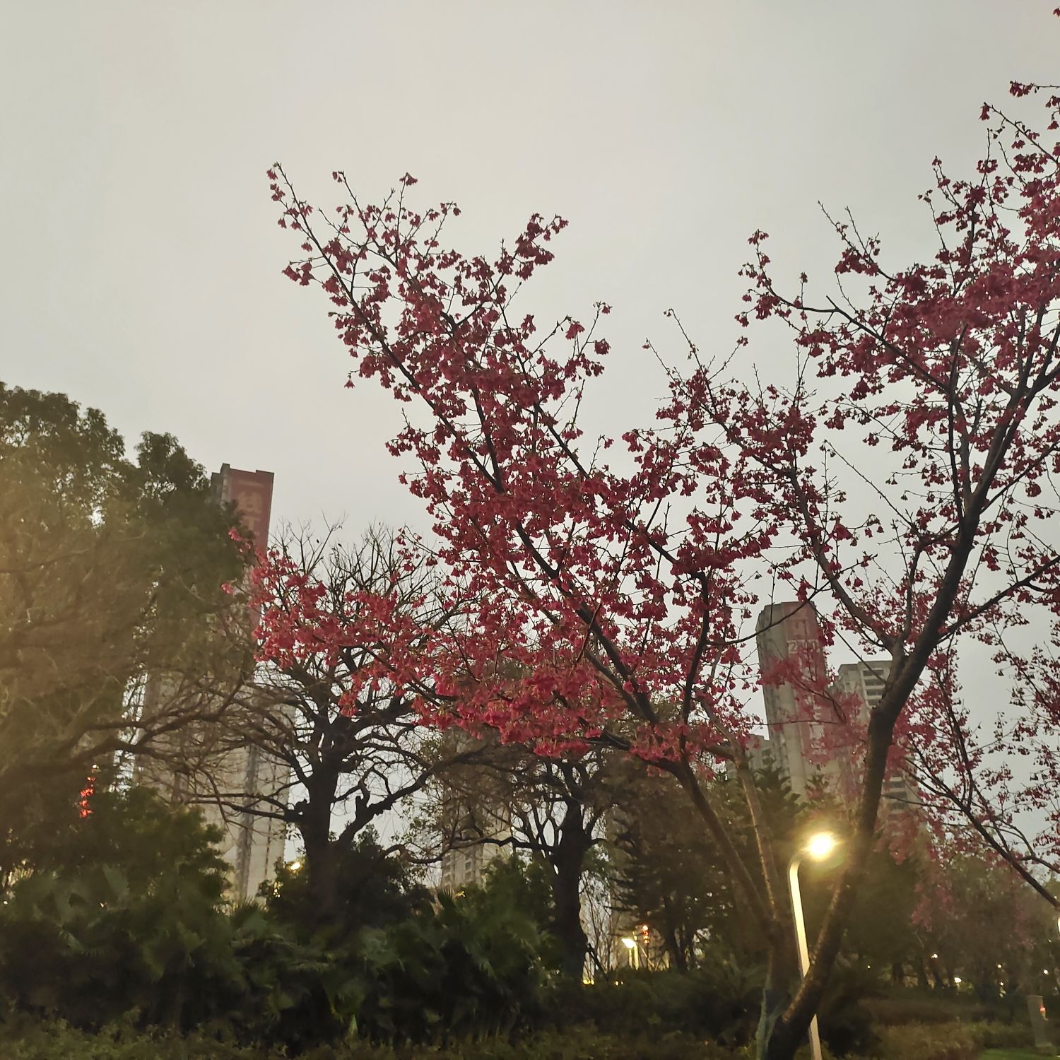 新世纪文化广场旅行图片 3