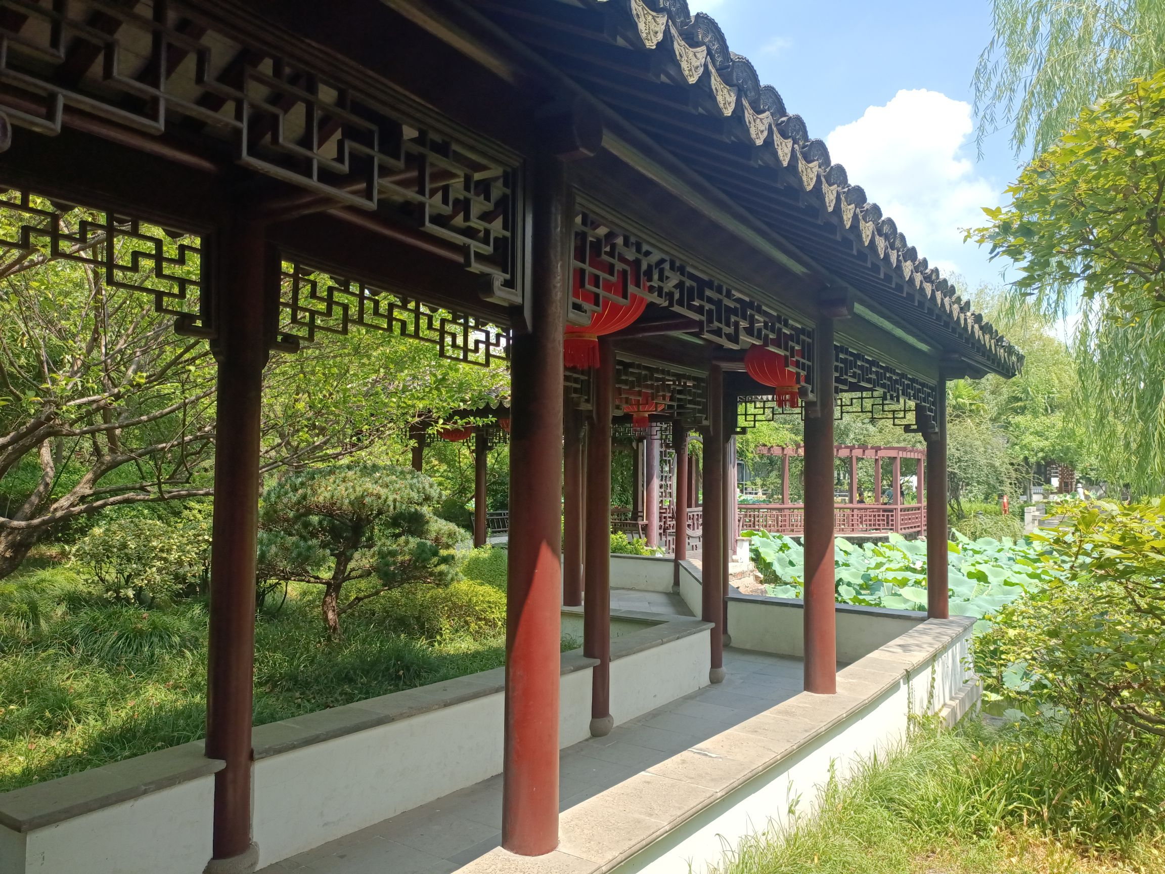 赵园·曾园旅行图片 2