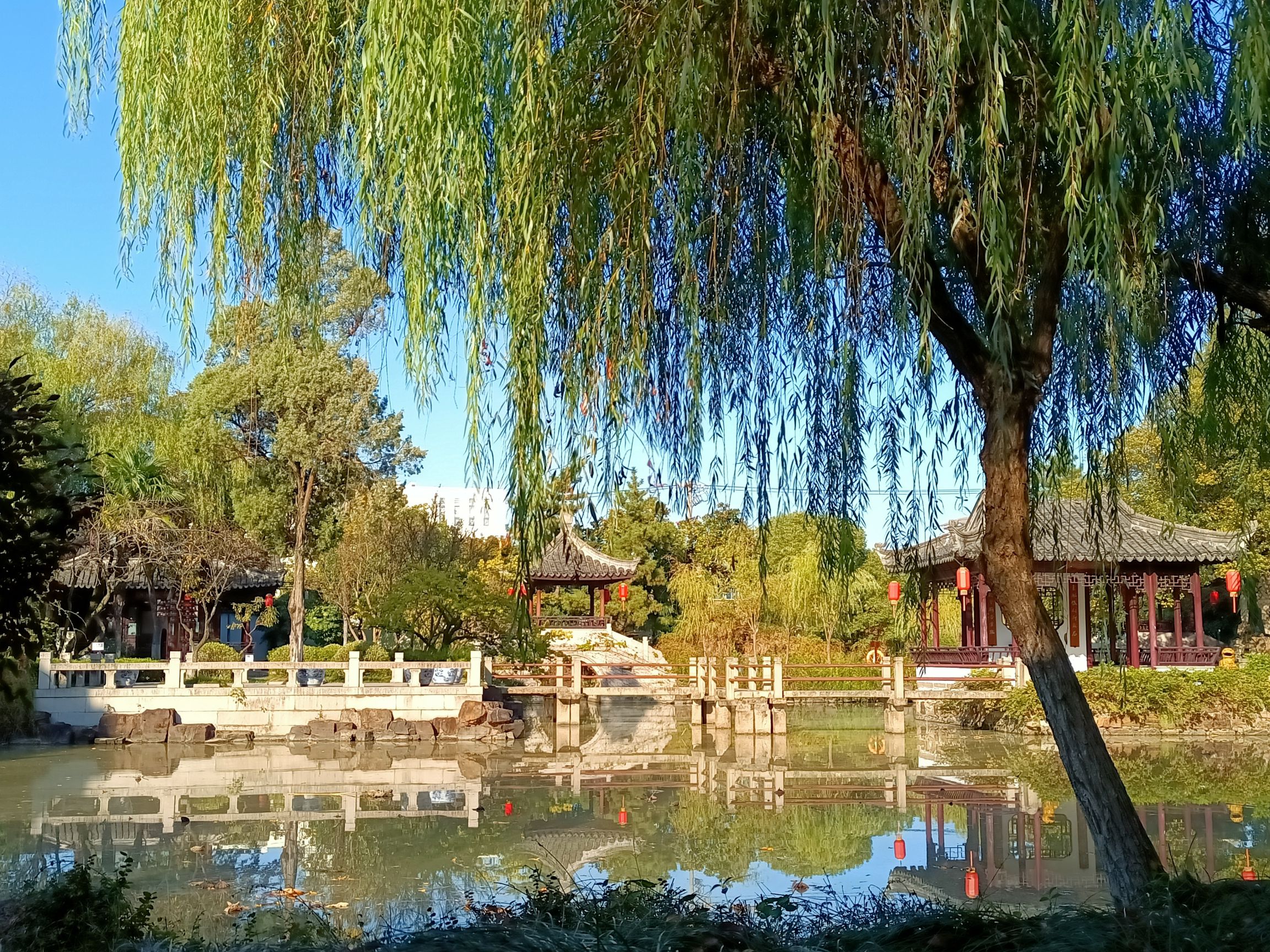 赵园·曾园旅行图片 3