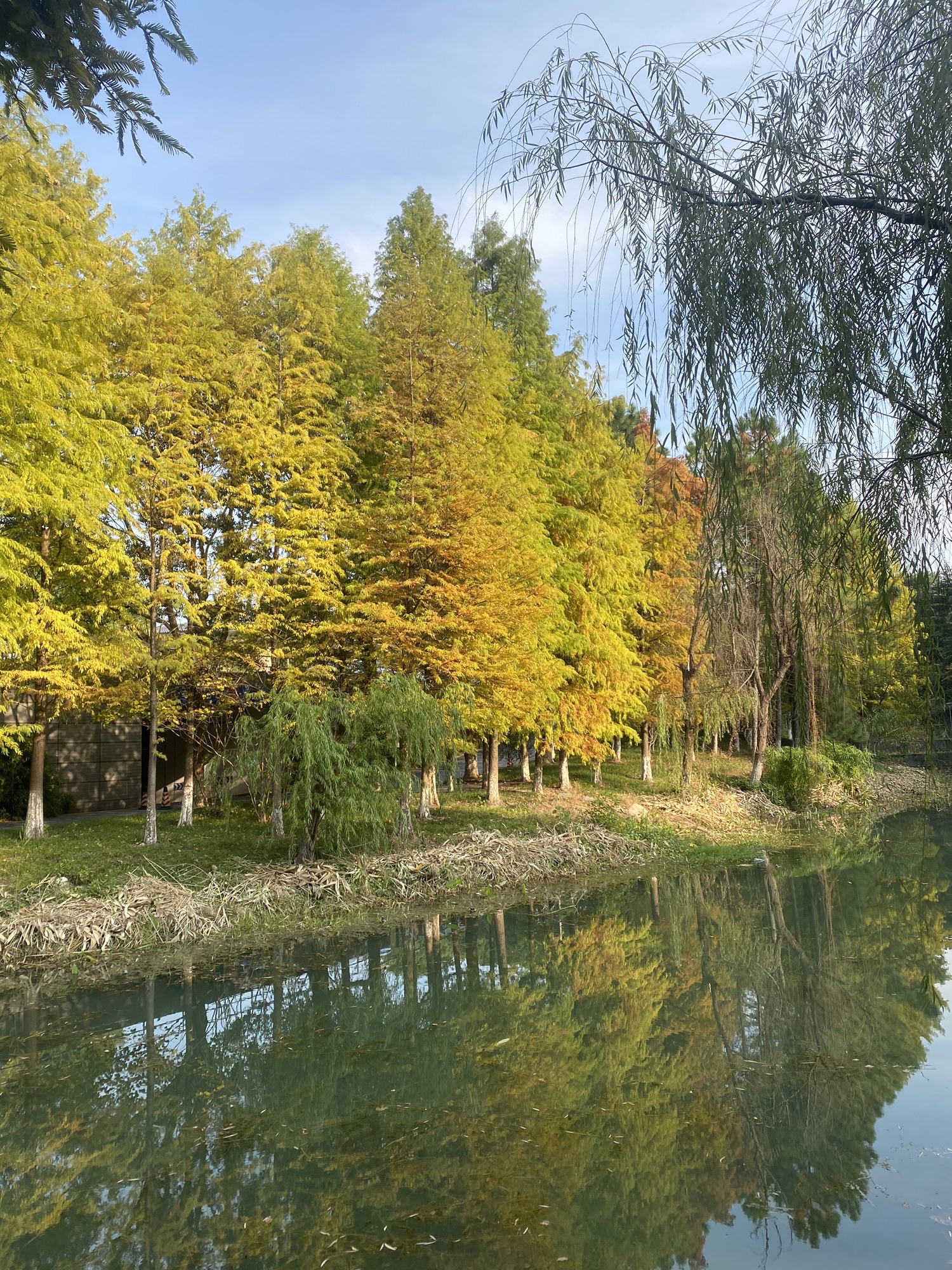 镜湖生态公园