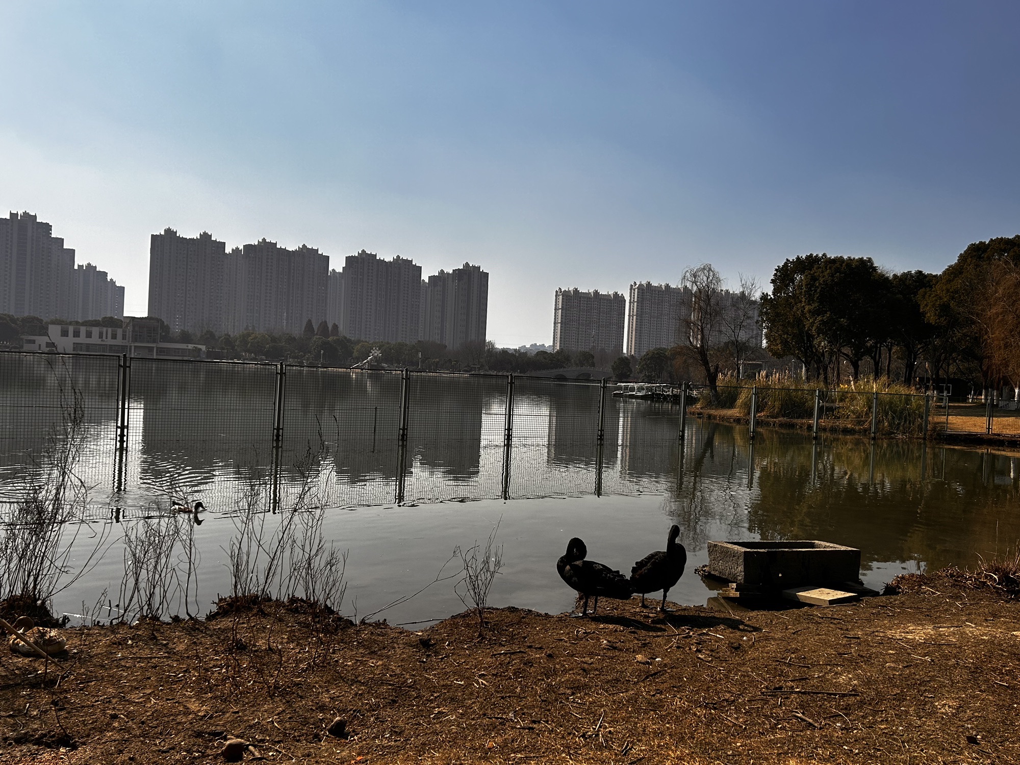 梁丰生态园旅行图片 1