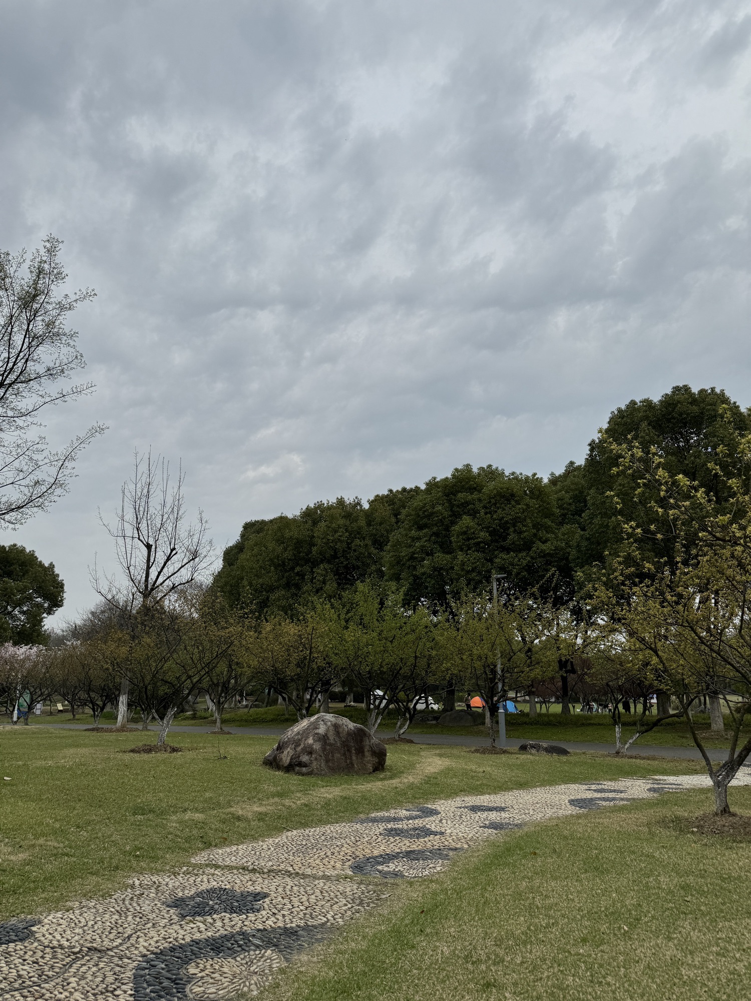 梁丰生态园旅行图片 2