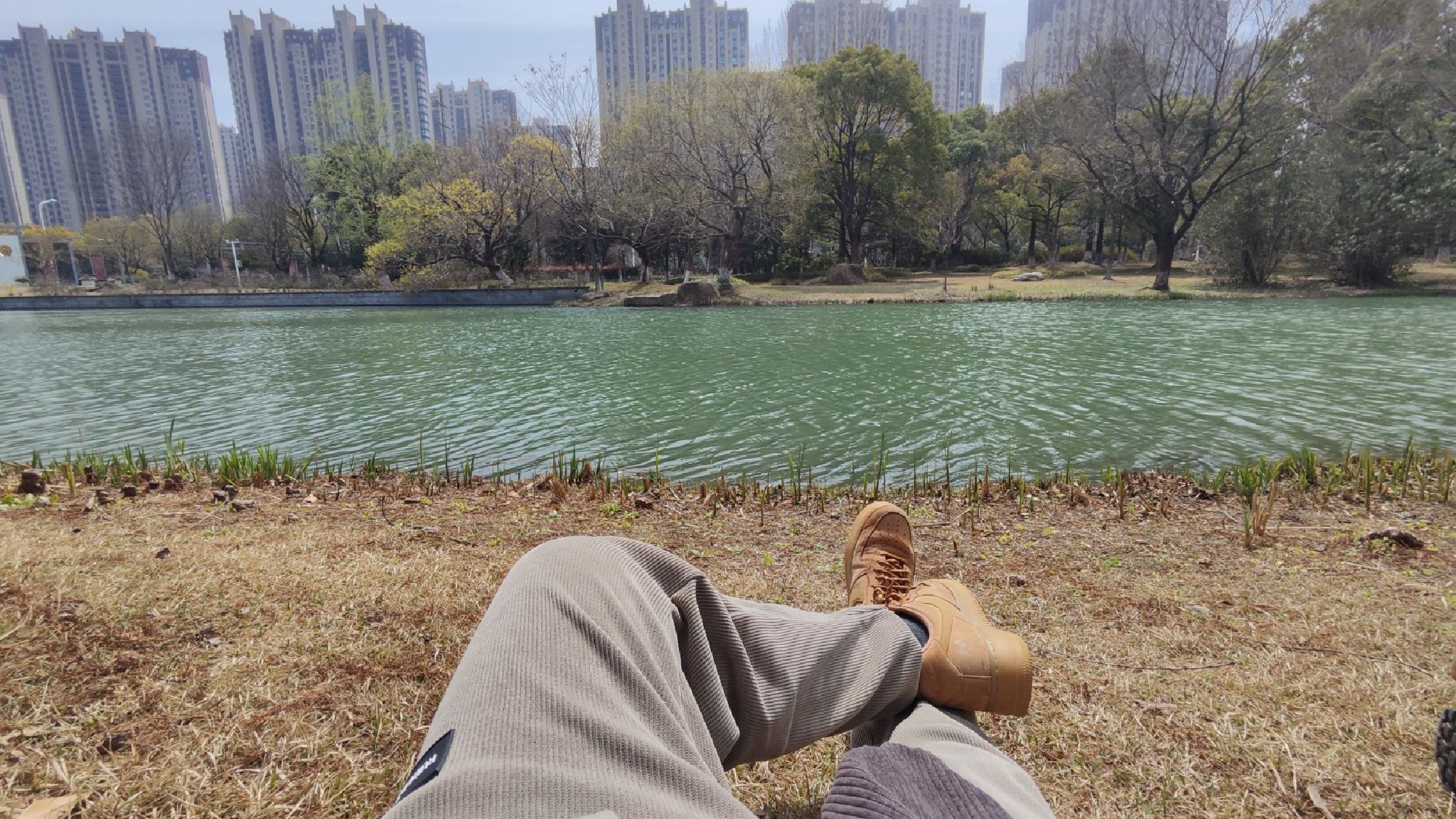 梁丰生态园旅行图片 3