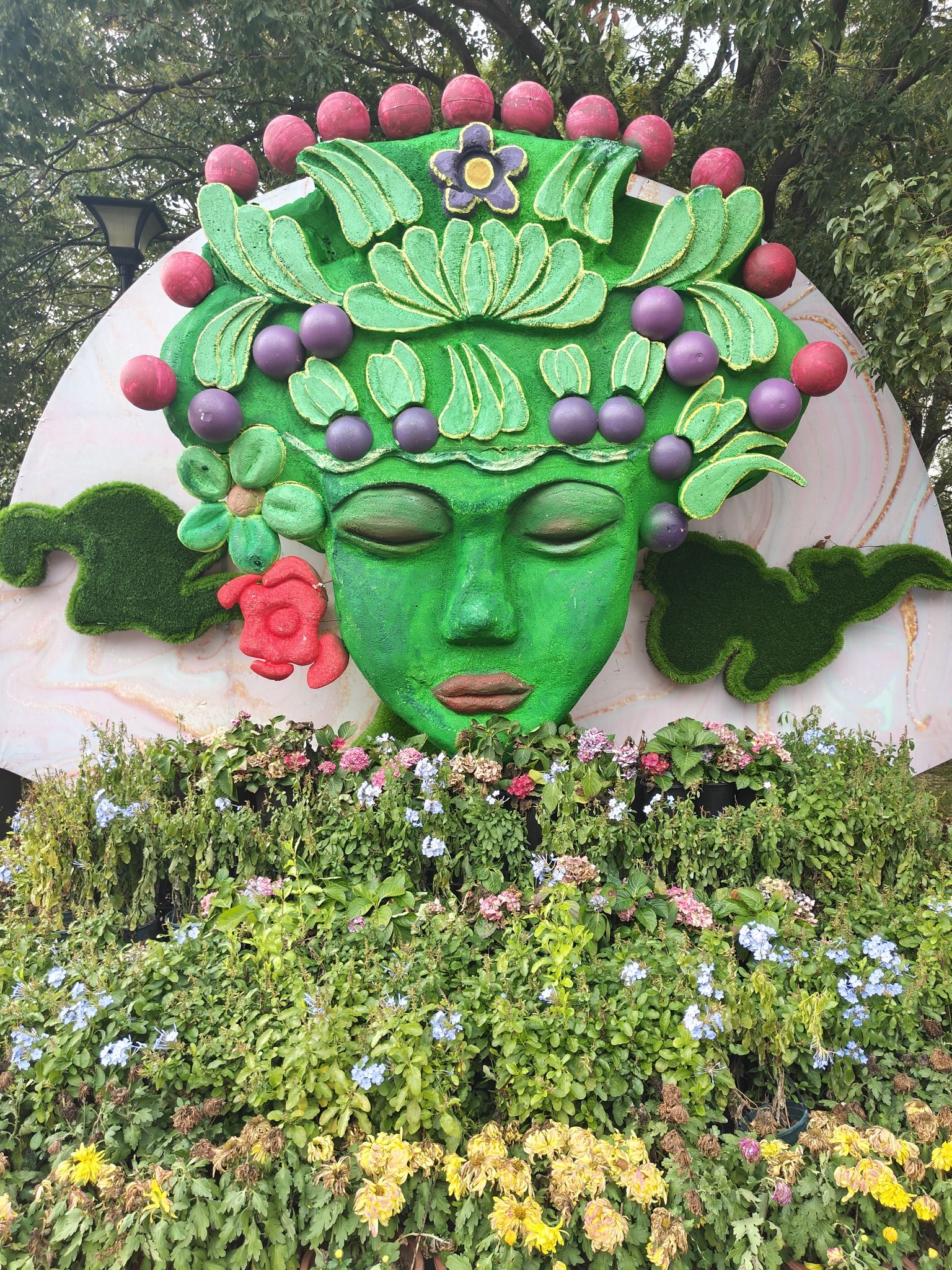 苏州中国花卉植物园旅行图片 1