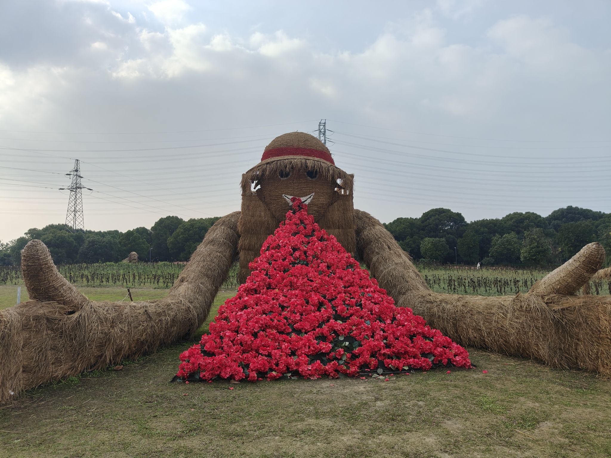 苏州中国花卉植物园旅行图片 3
