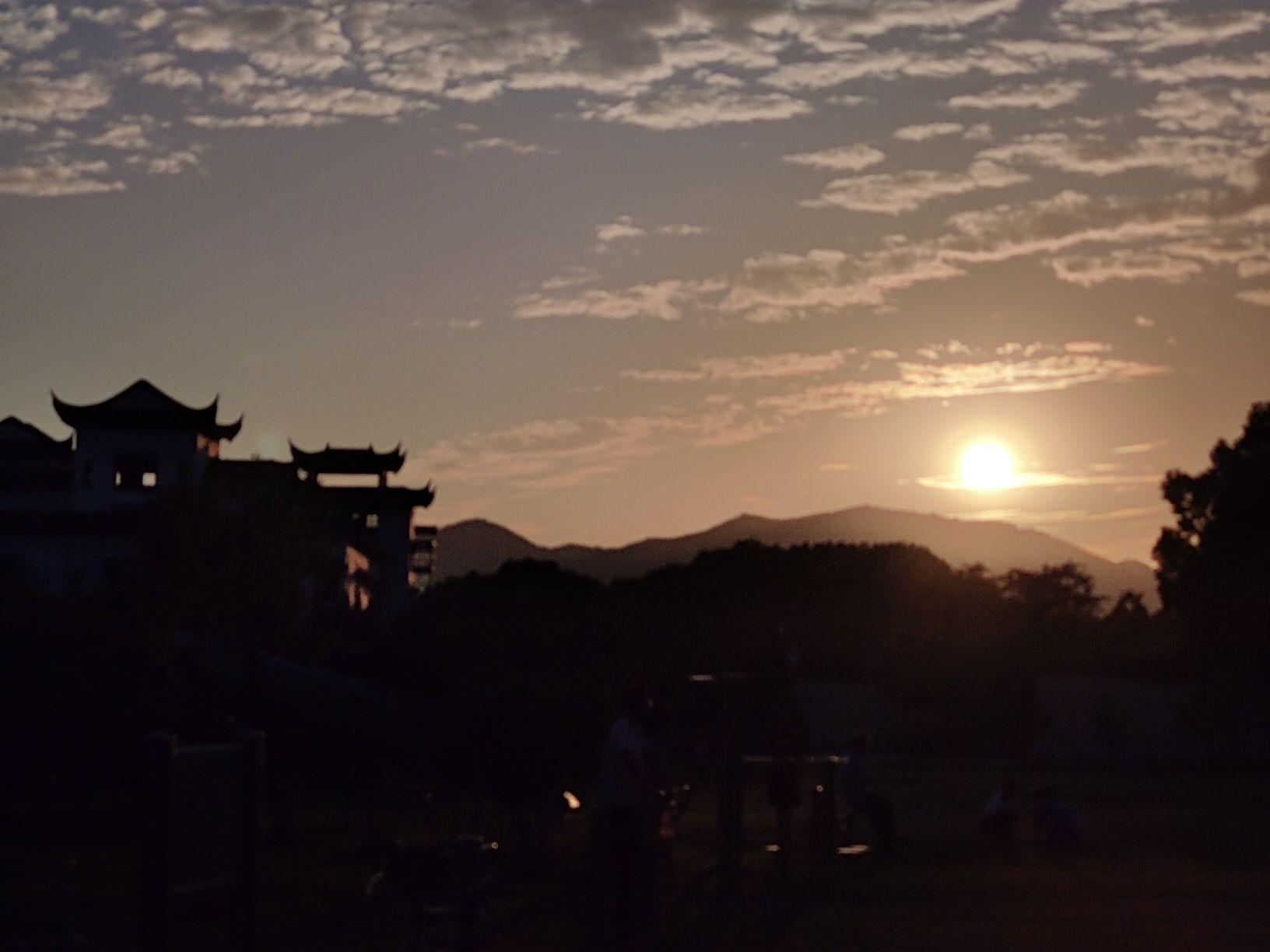 大白荡城市生态公园旅行图片 3