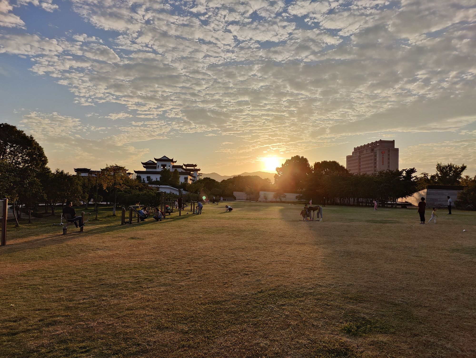 大白荡城市生态公园旅行图片 1