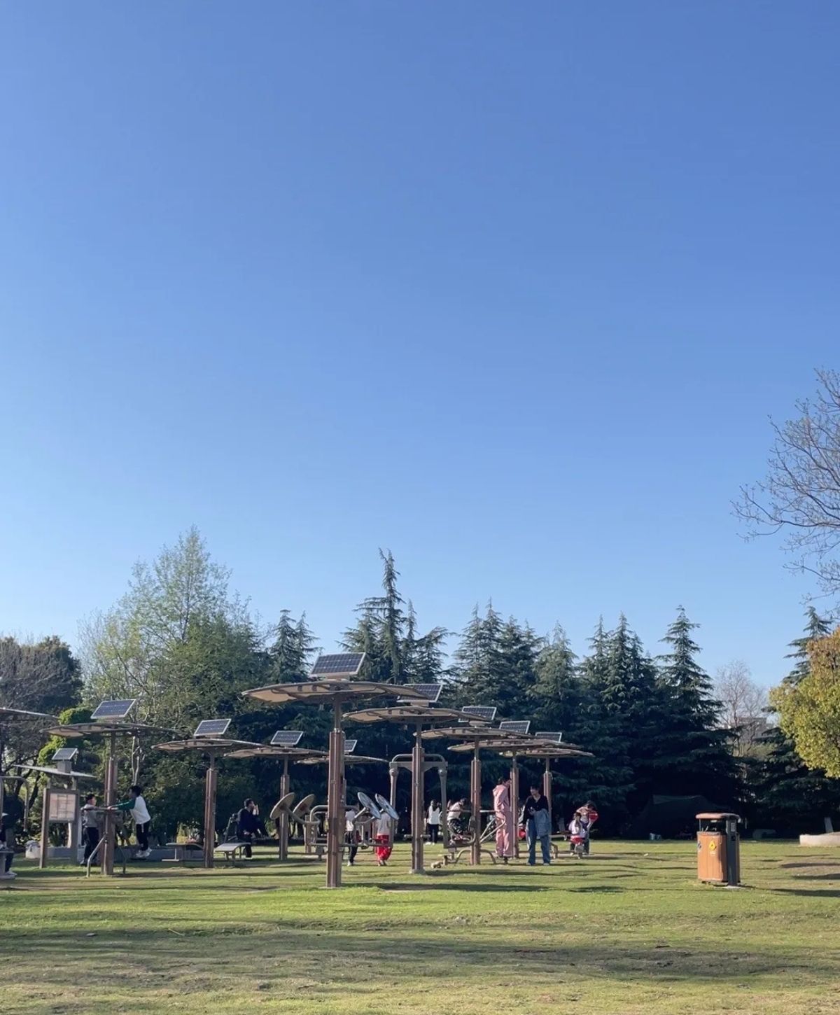 大白荡城市生态公园旅行图片 3