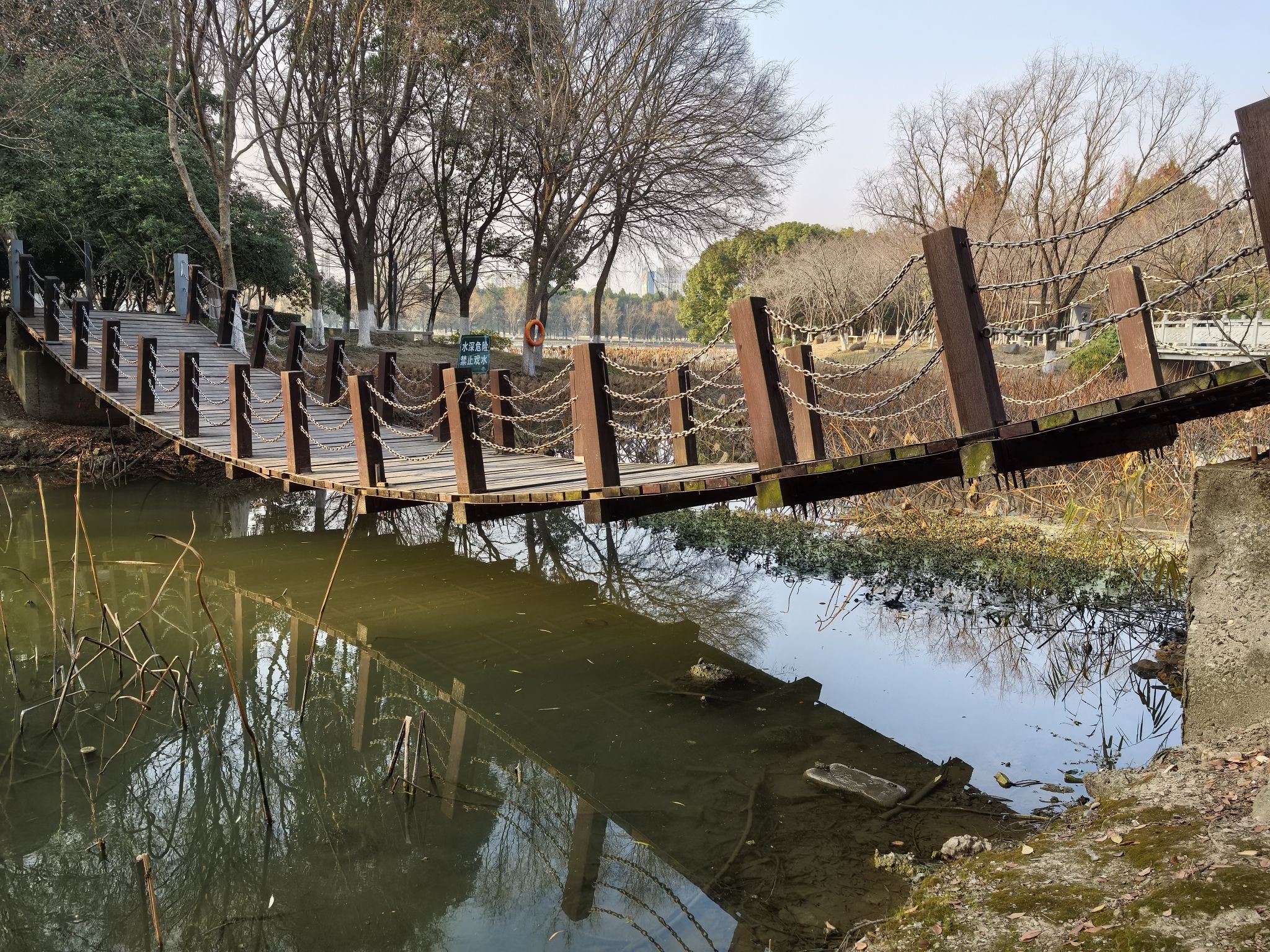 大白荡城市生态公园旅行图片 1