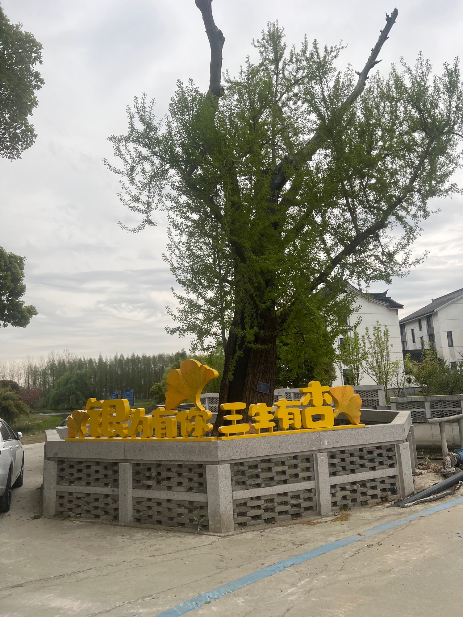 绰墩遗址旅行图片 3
