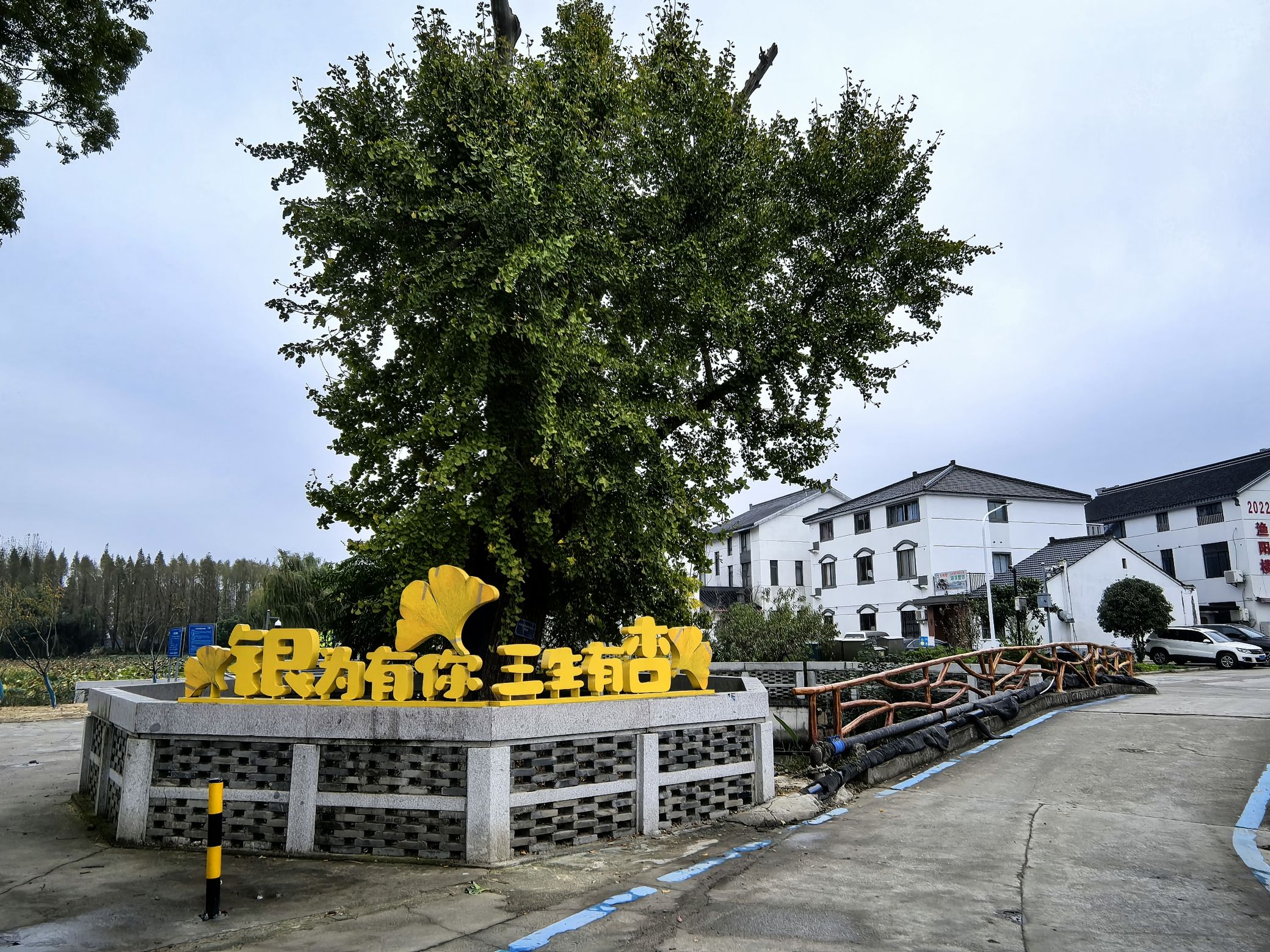 绰墩遗址旅行图片 3