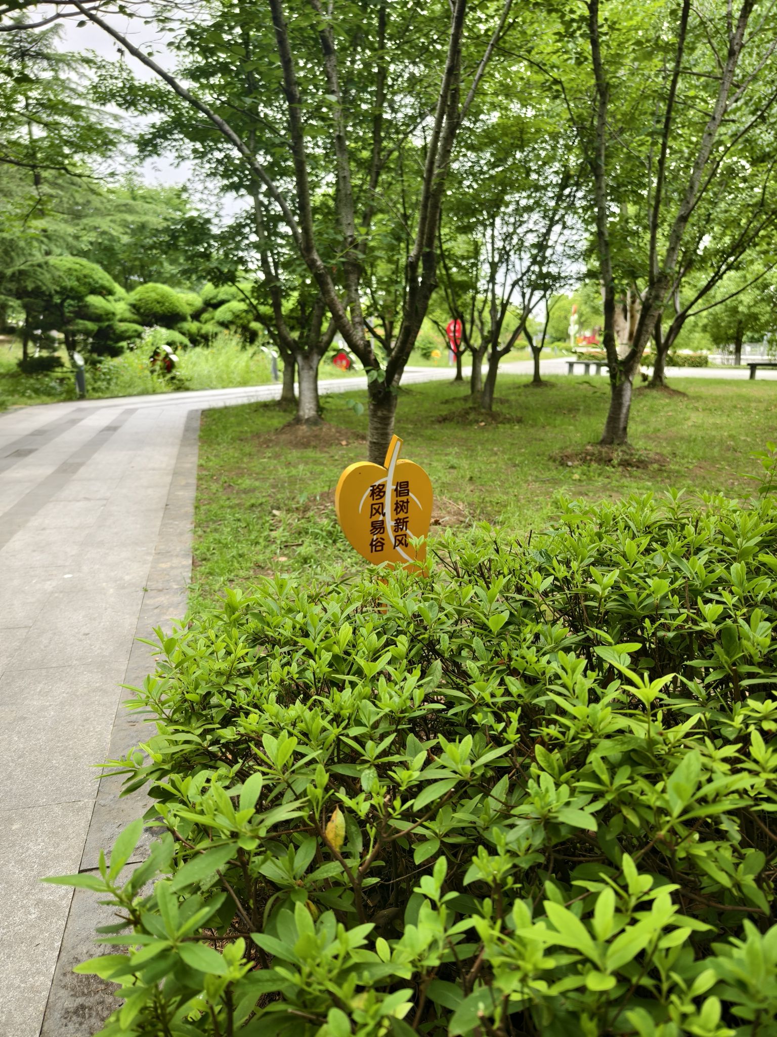 索山公园旅行图片 2
