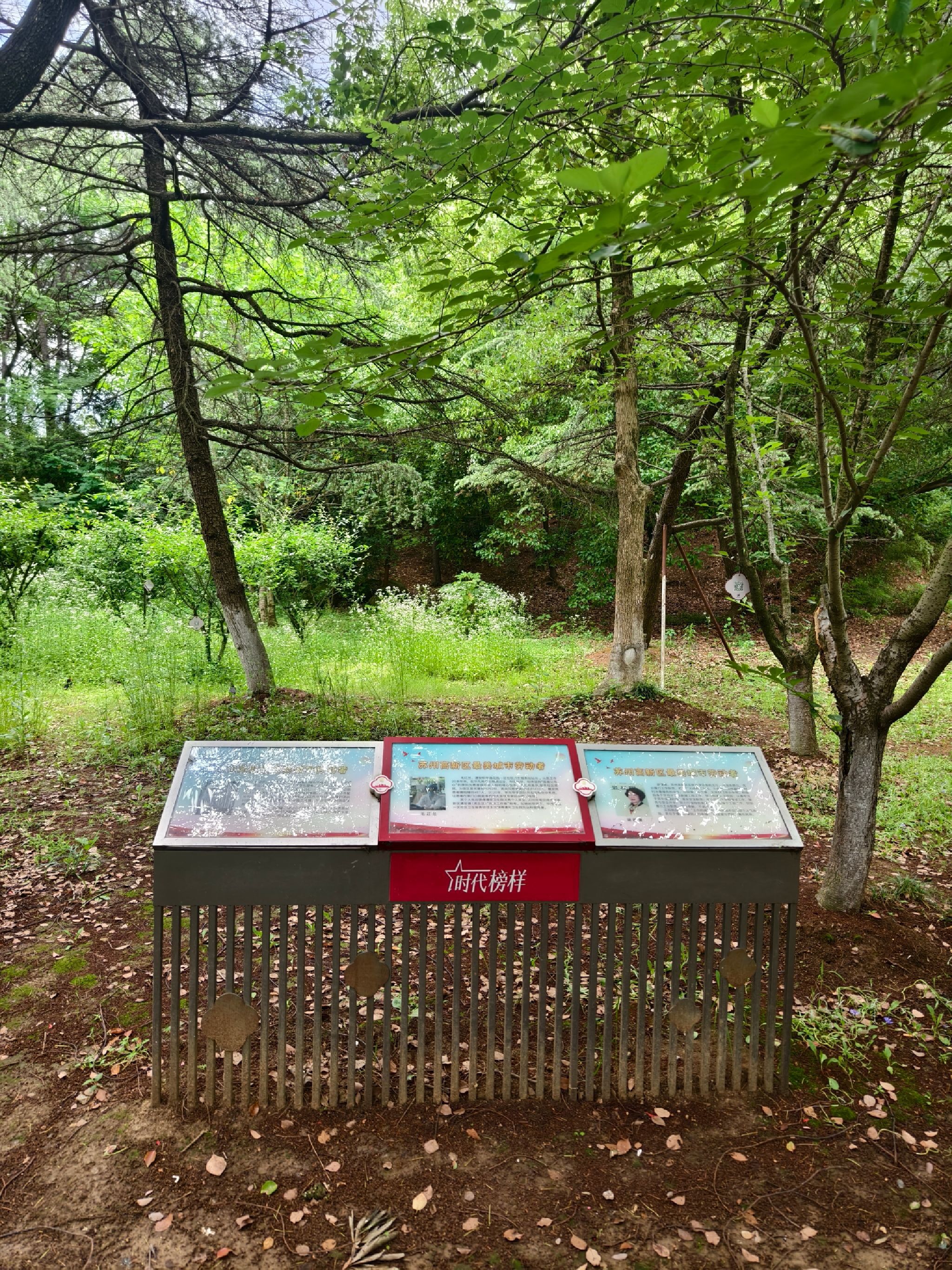 索山公园旅行图片 1