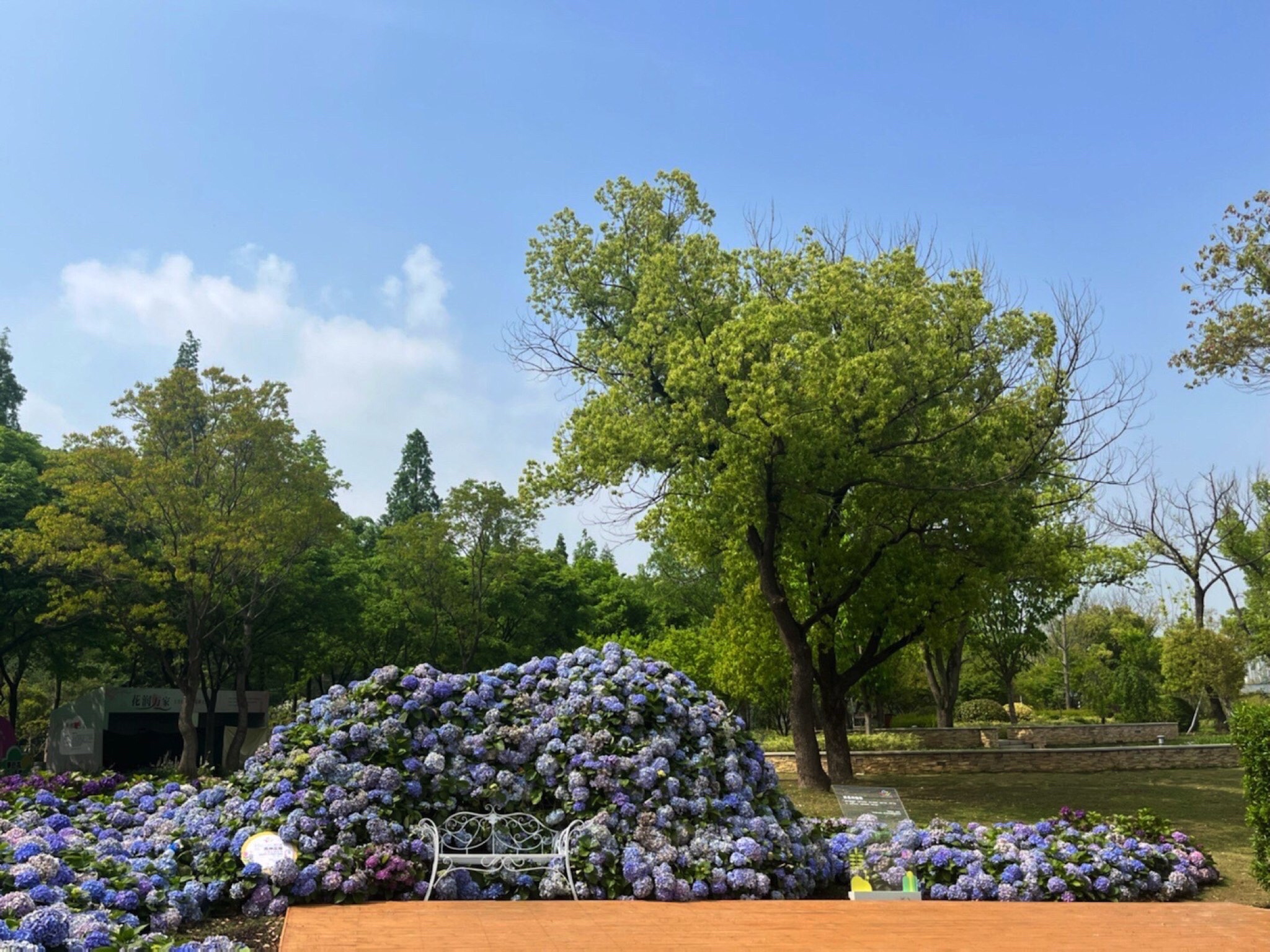 索山公园旅行图片 1