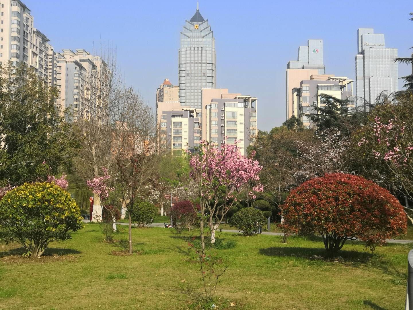 索山公园旅行图片 3