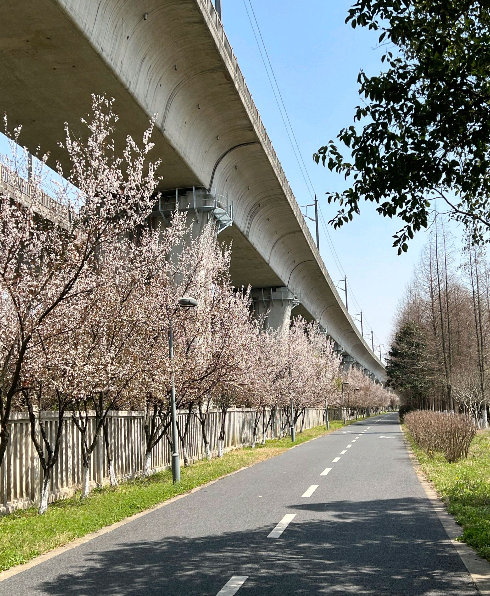 莲湖公园旅行图片 2