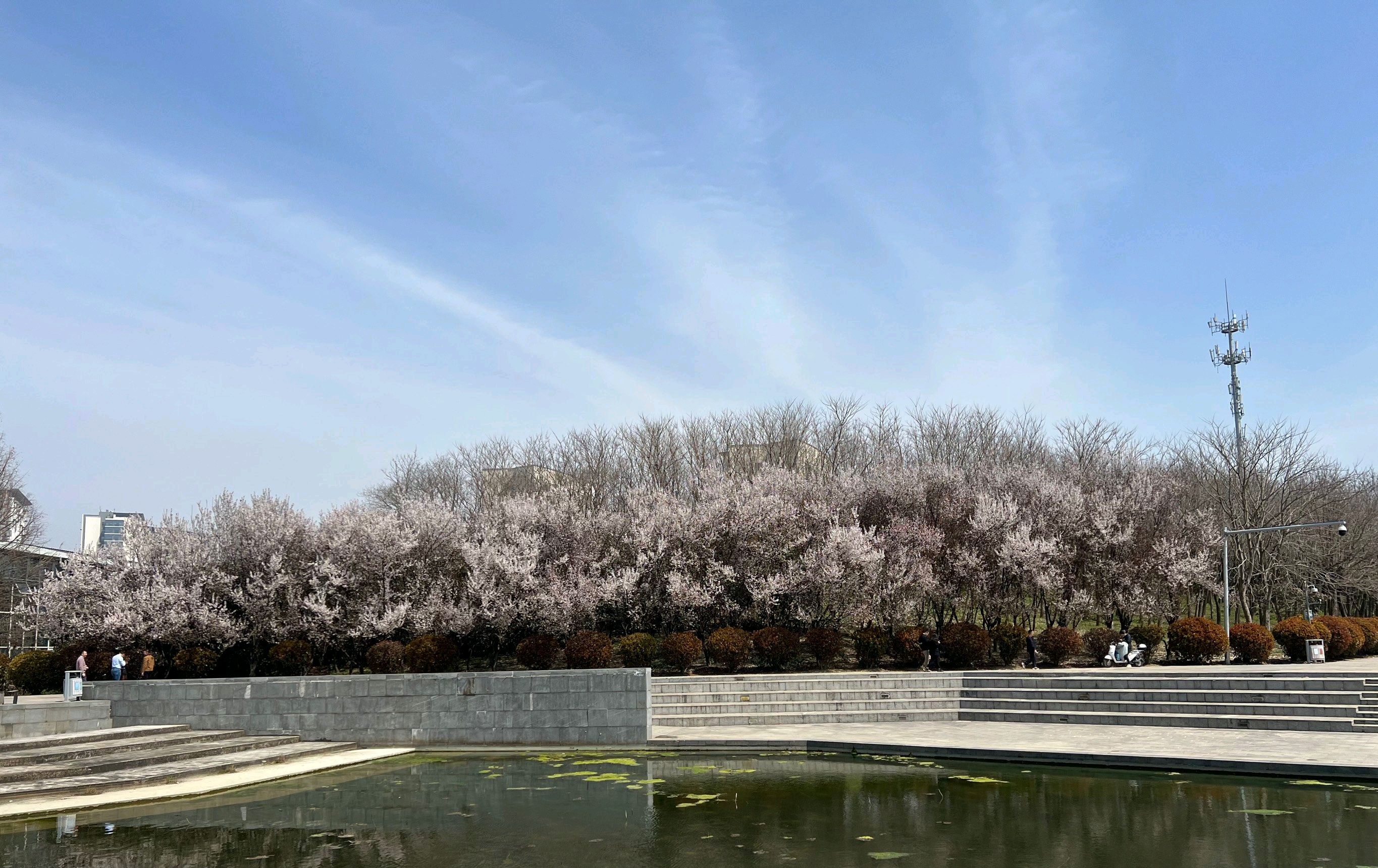 莲湖公园旅行图片 3