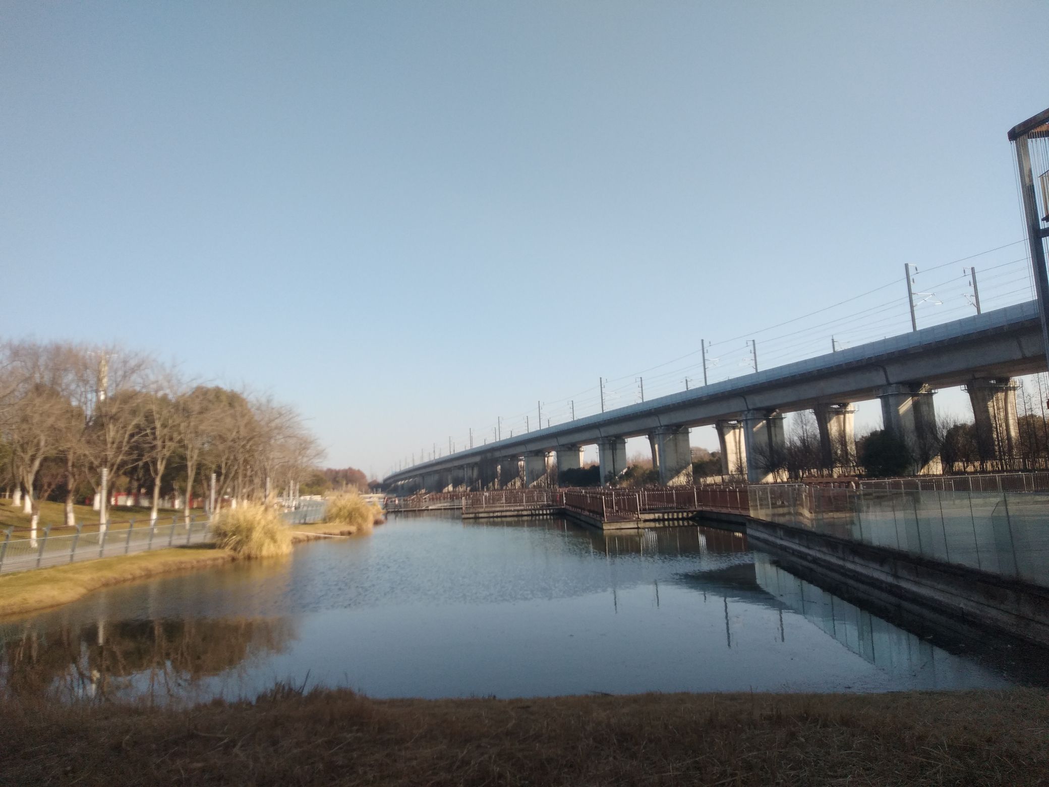莲湖公园旅行图片 2