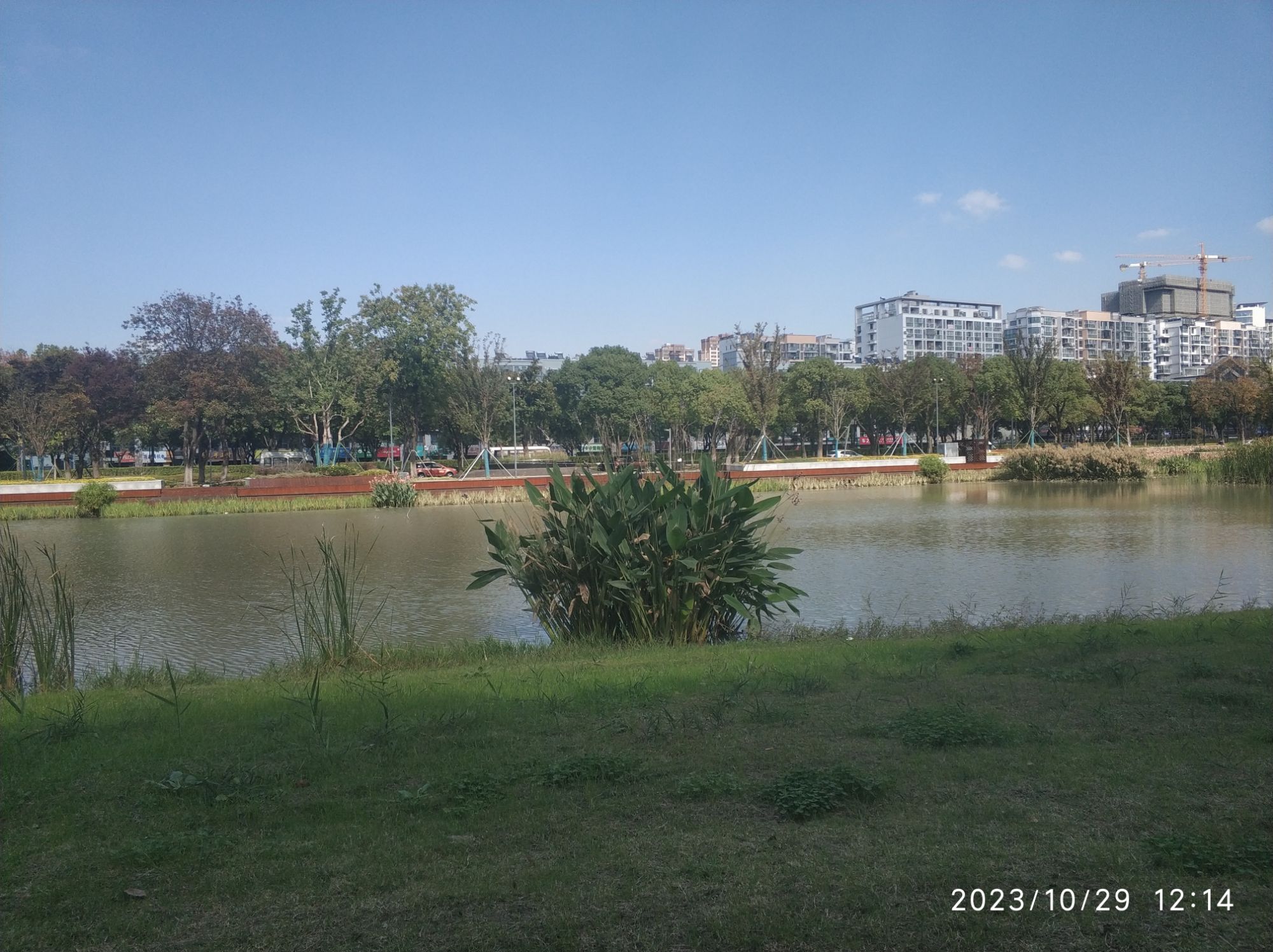莲湖公园旅行图片 1