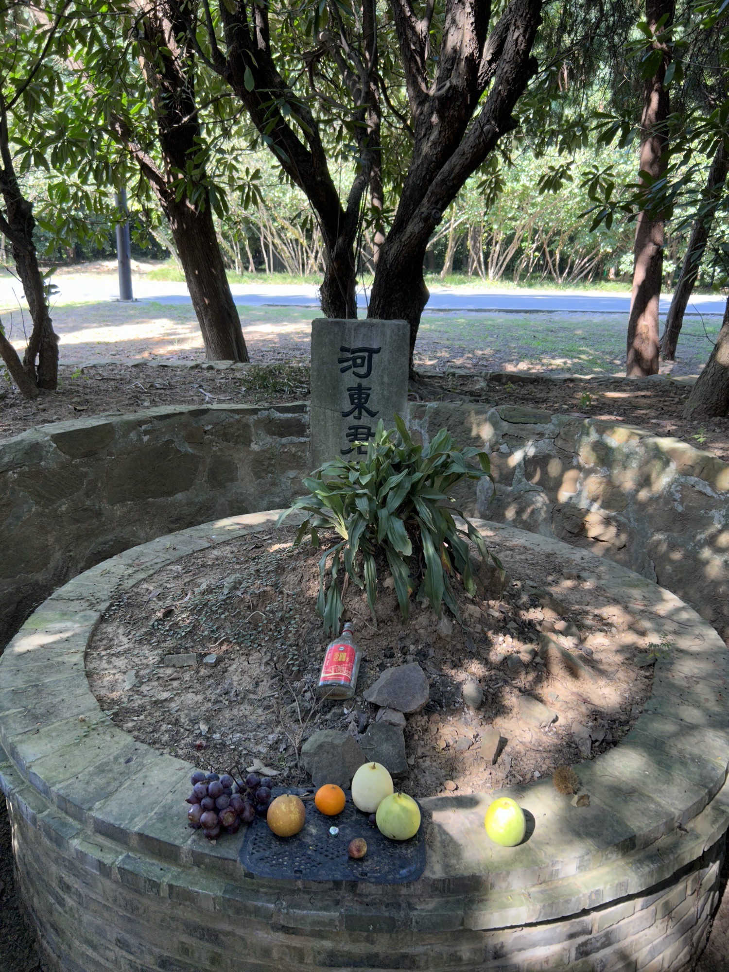 柳如是墓旅行图片 2