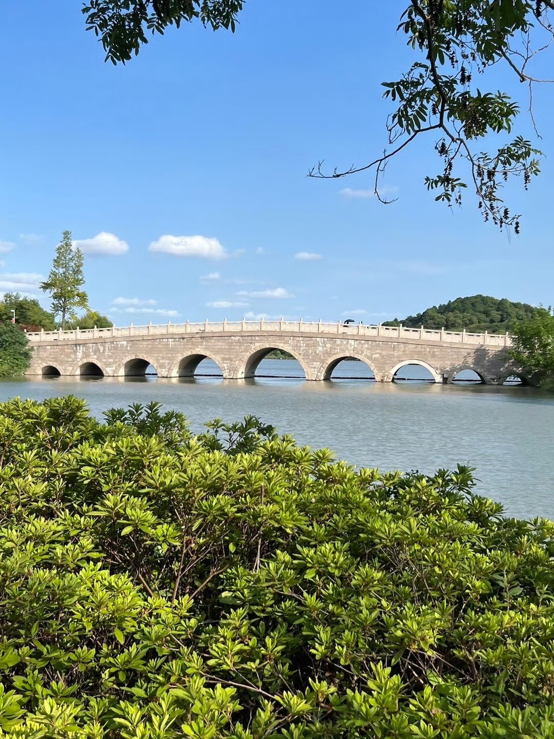 郑和公园旅行图片 1