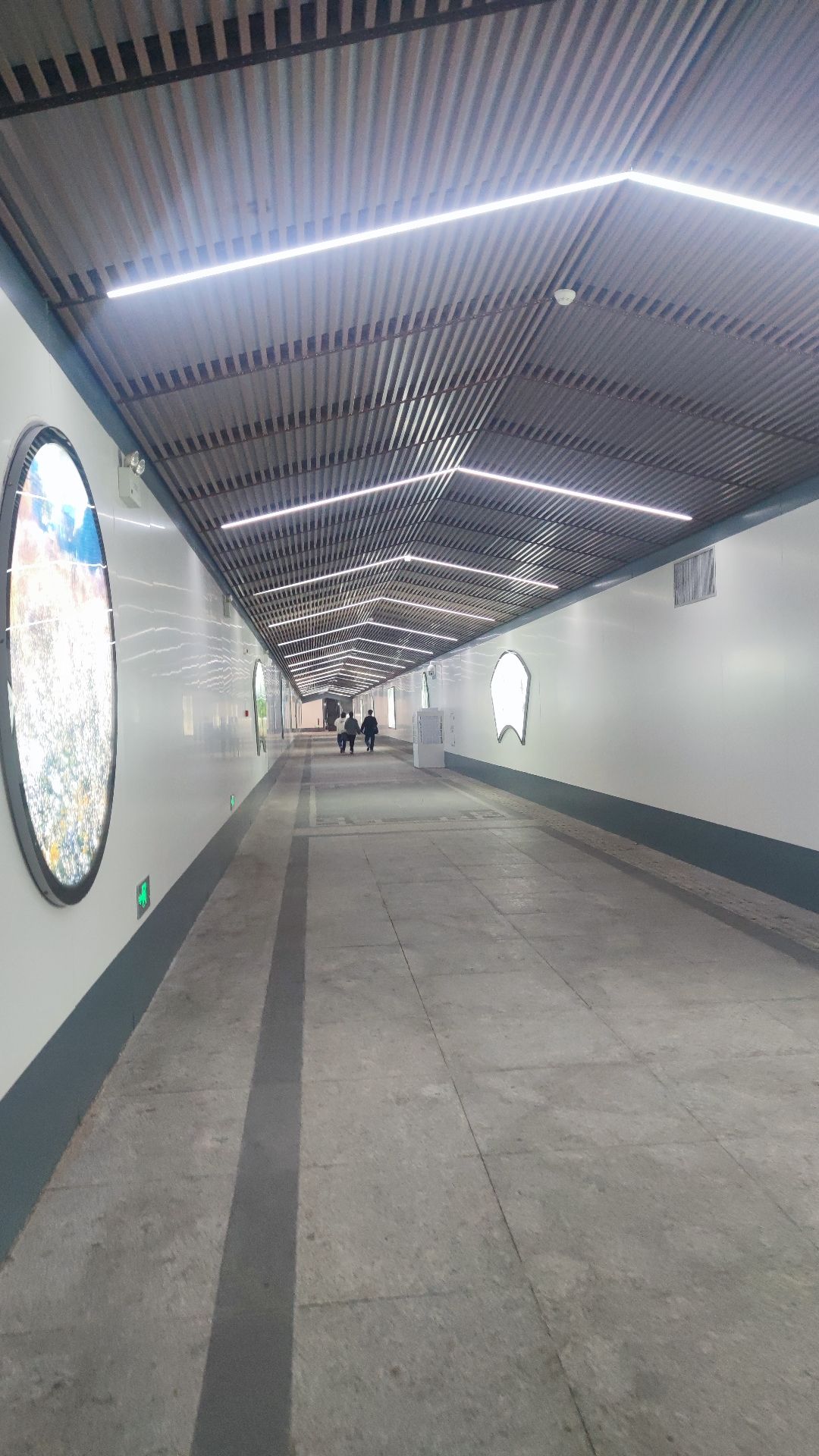 东汇旅行图片 2