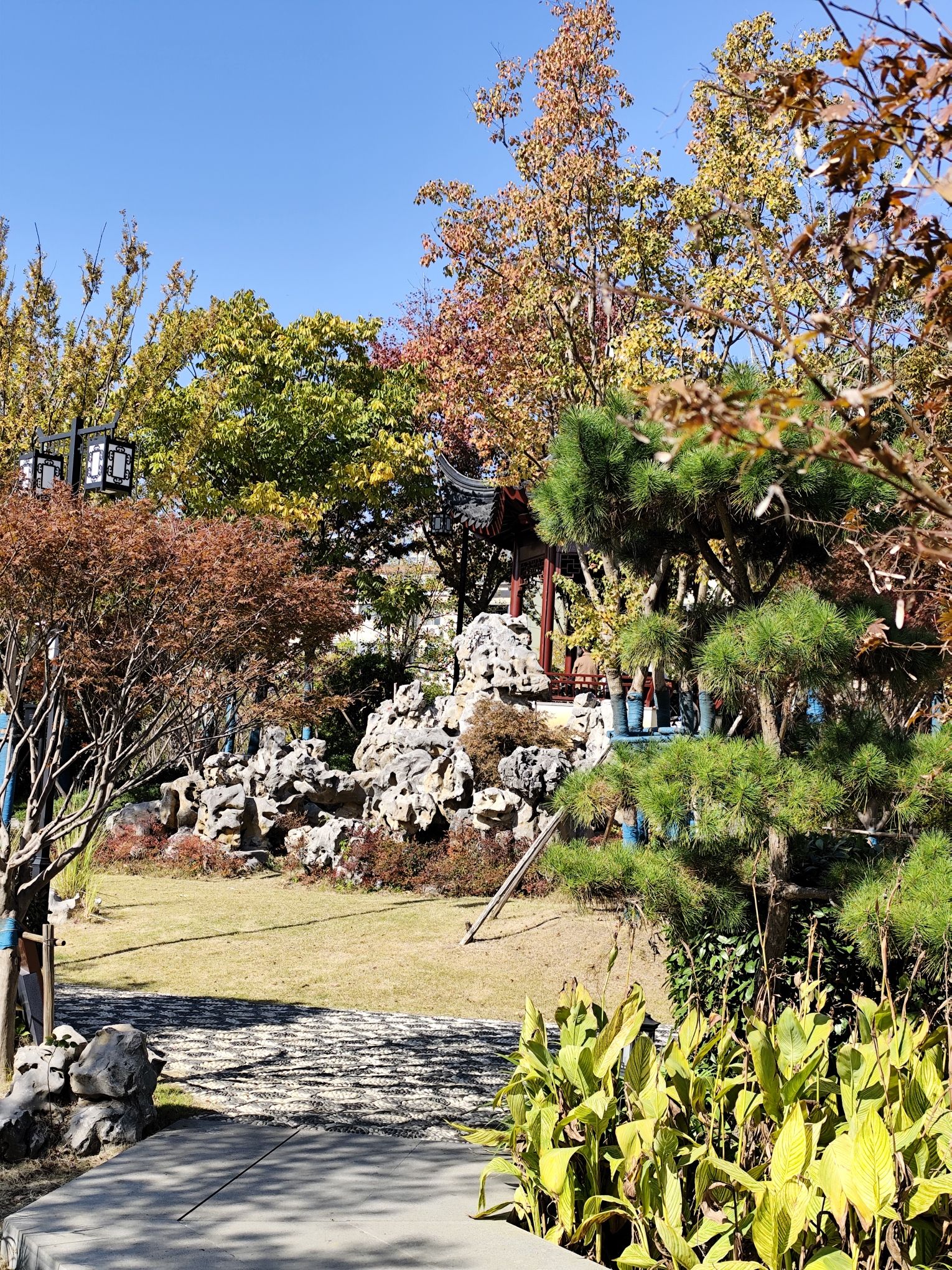 东汇旅行图片 2