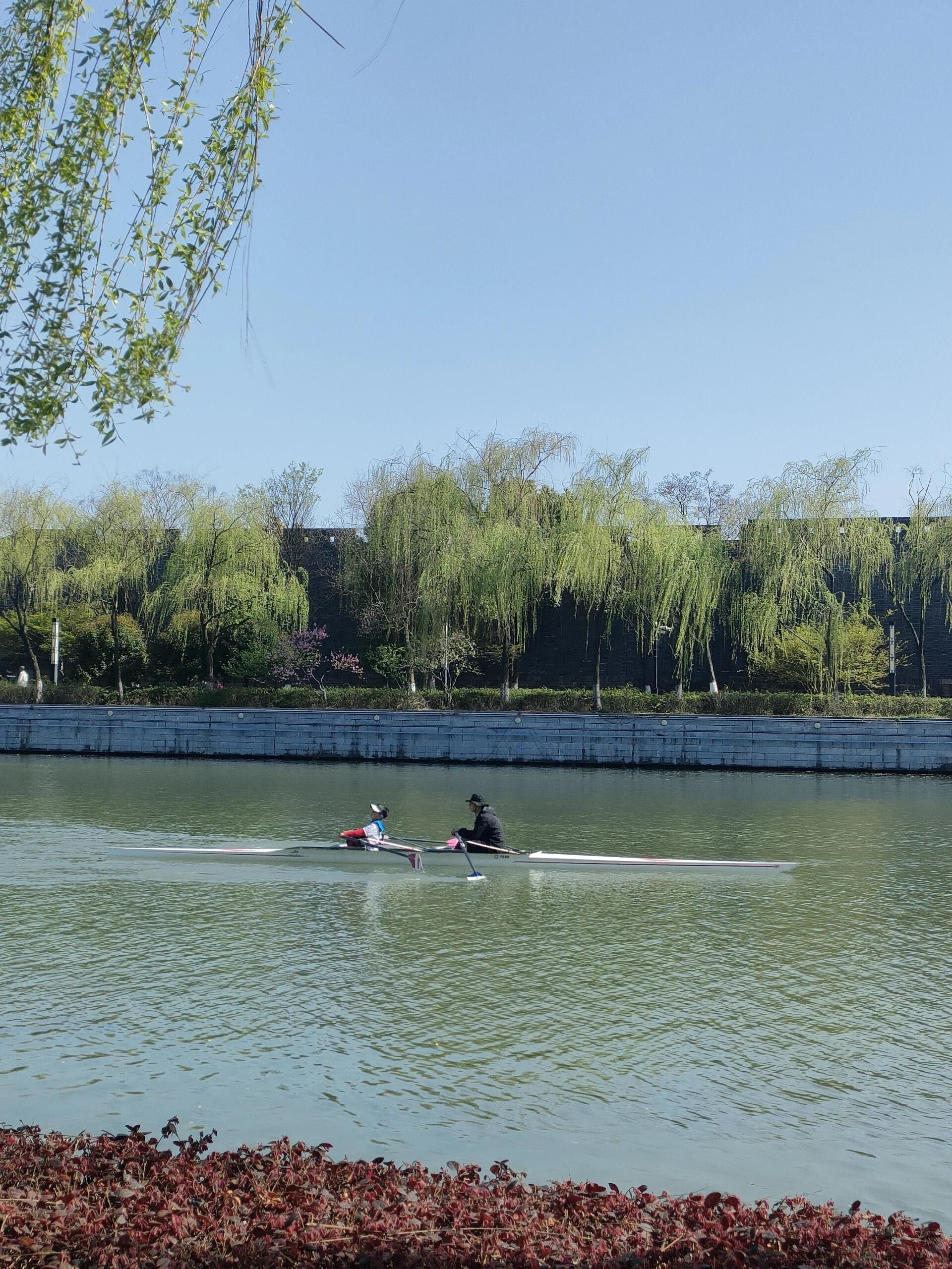 东汇旅行图片 3