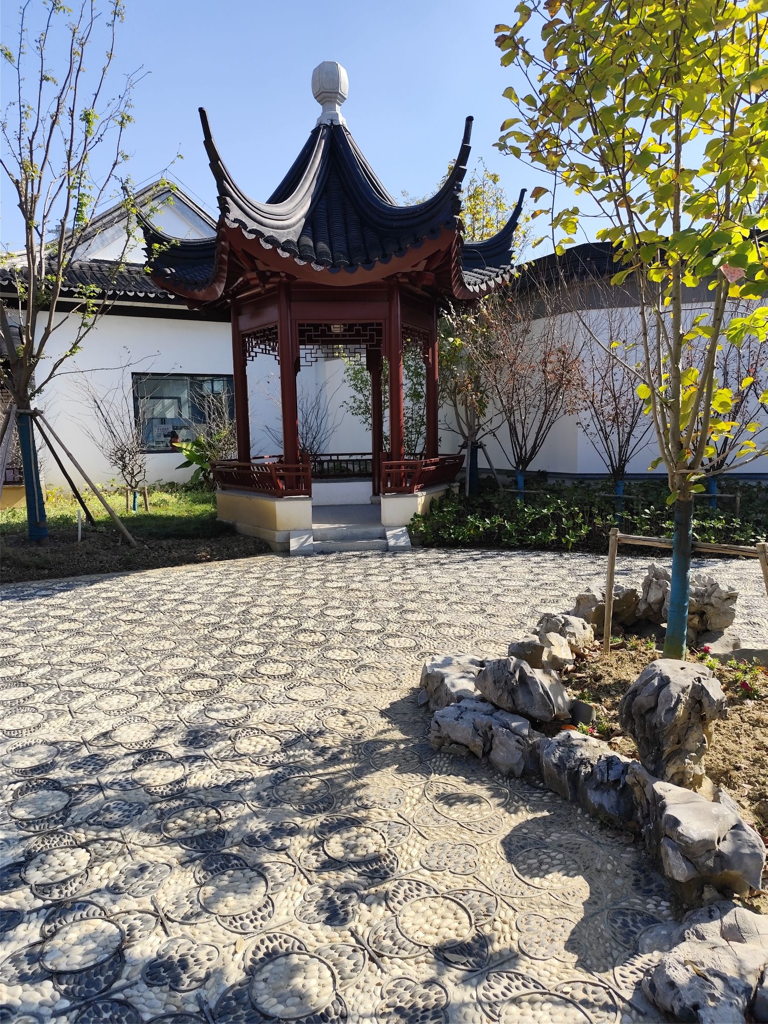东汇旅行图片 3