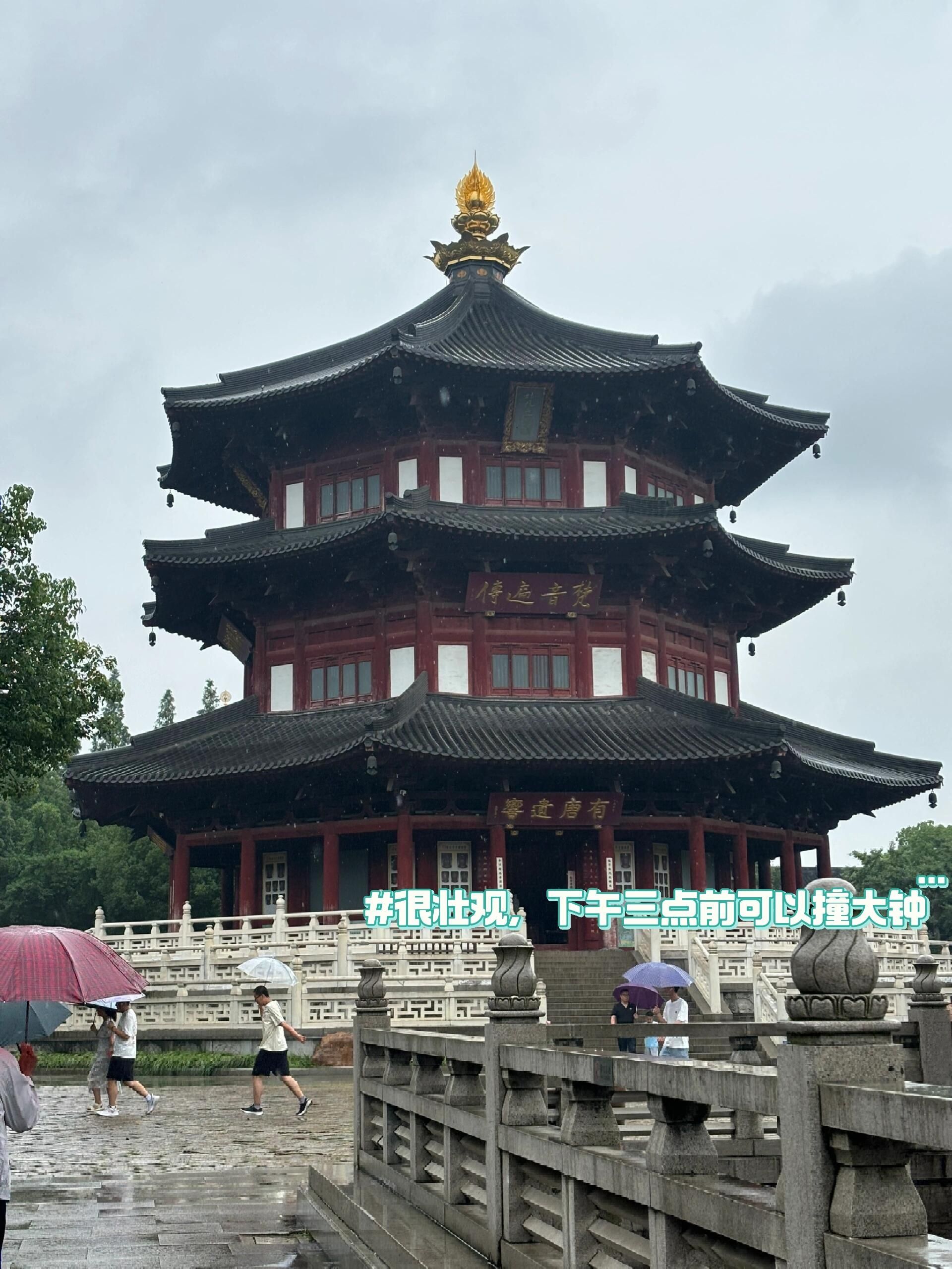 东汇旅行图片 3