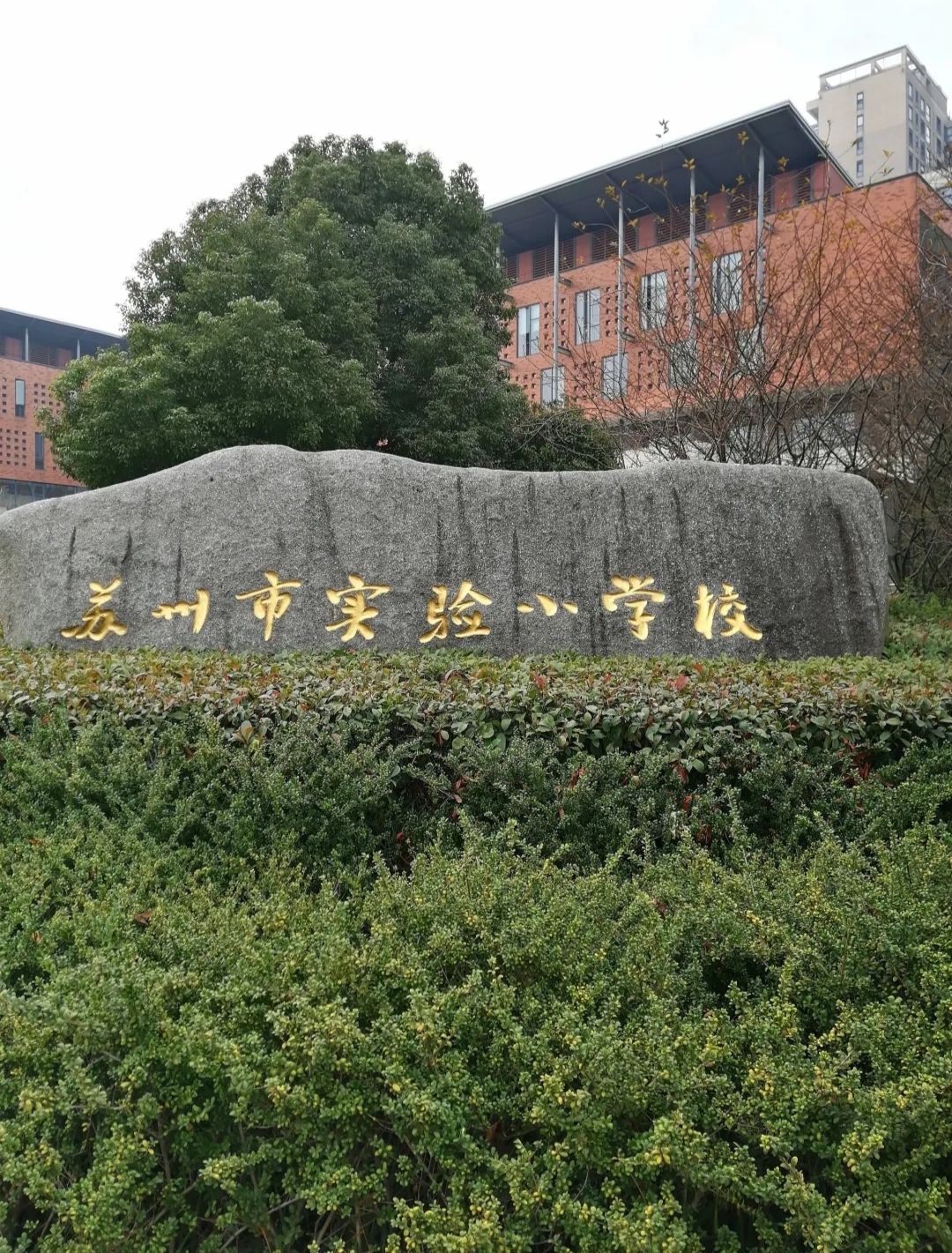 苏州市实验小学校