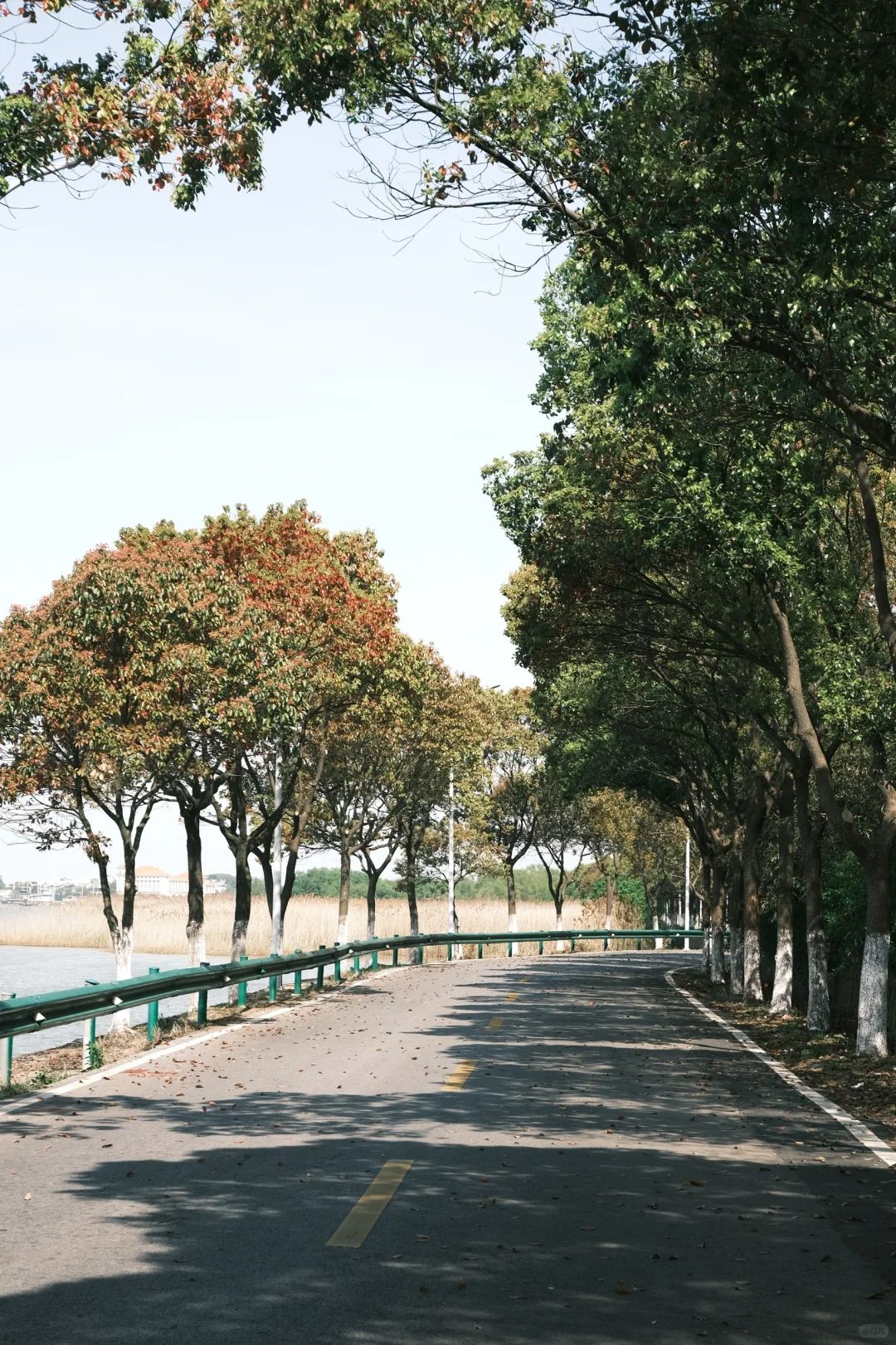 苏州市吴中太湖旅游区旅行图片 2