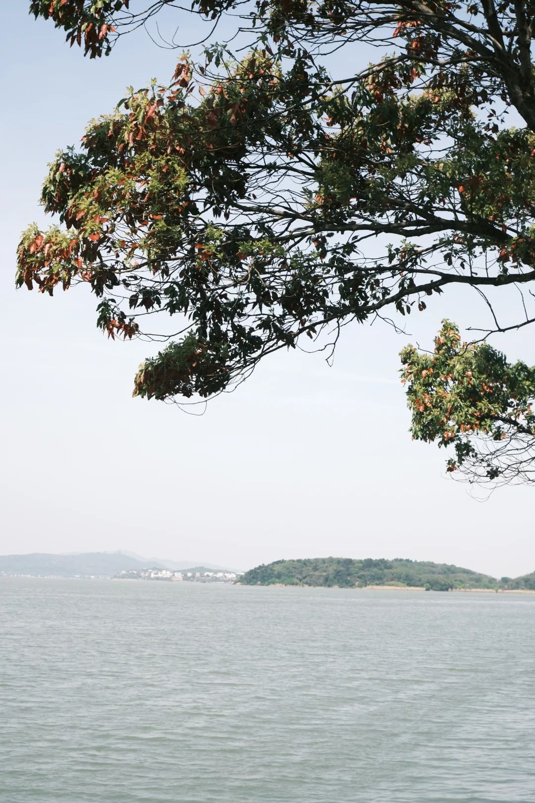 苏州市吴中太湖旅游区旅行图片 3
