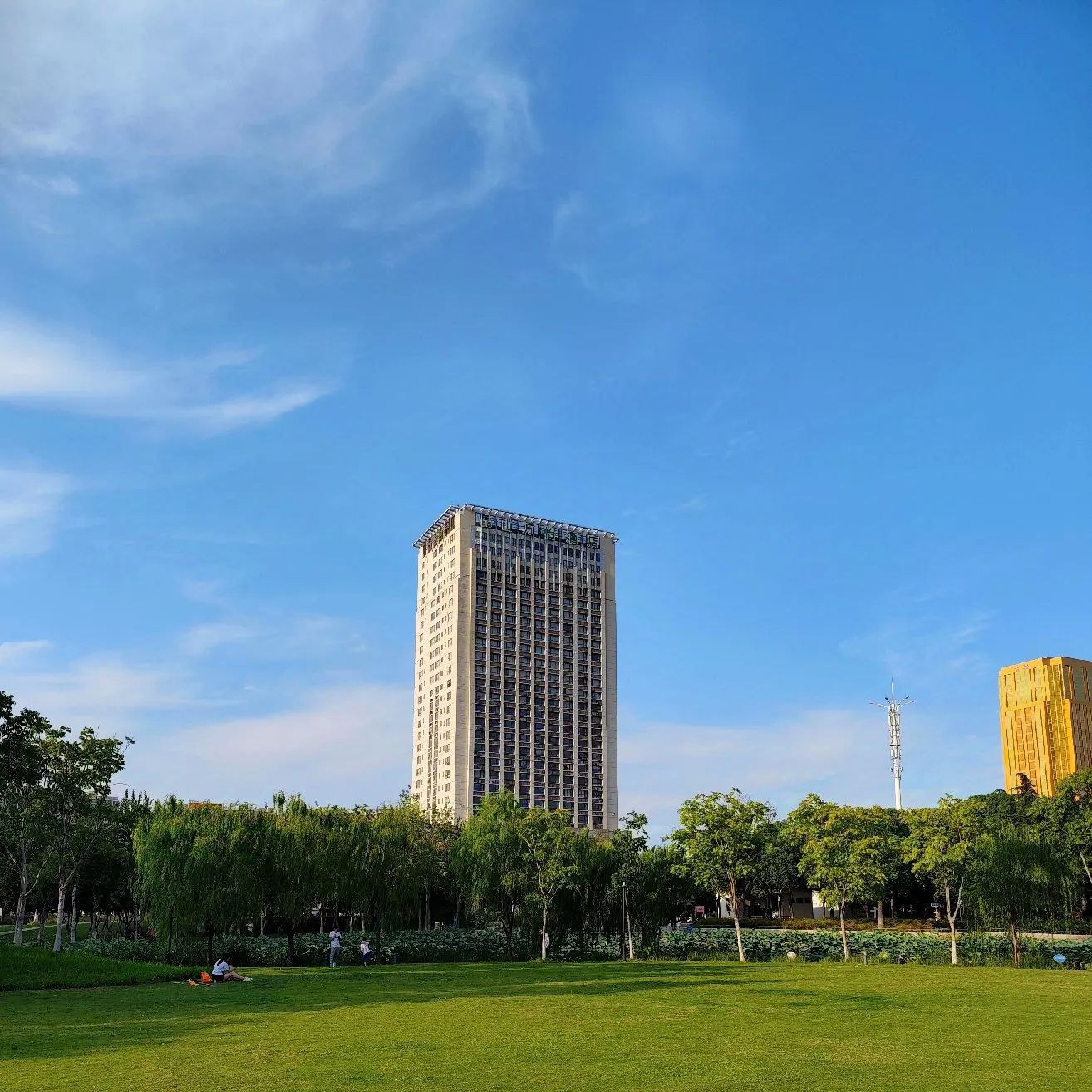 黄浦公园旅行图片 3