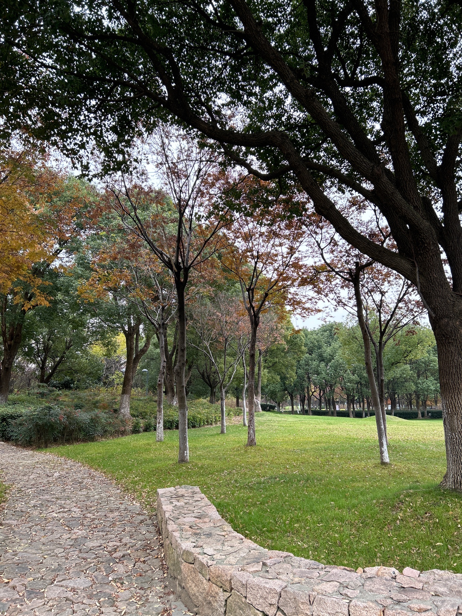 阳澄湖公园(环城西路)旅行图片 1