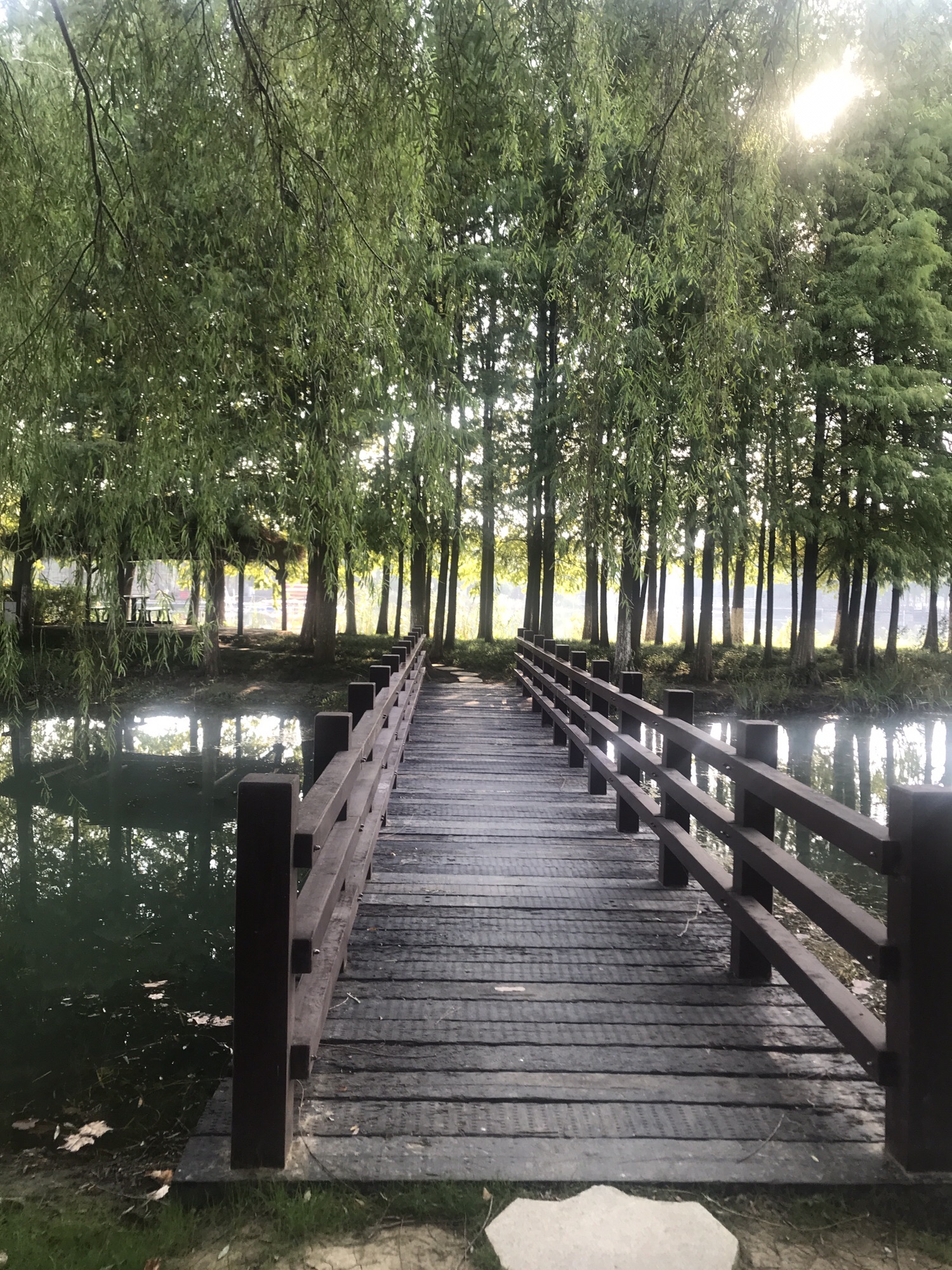 阳澄湖公园(环城西路)旅行图片 1