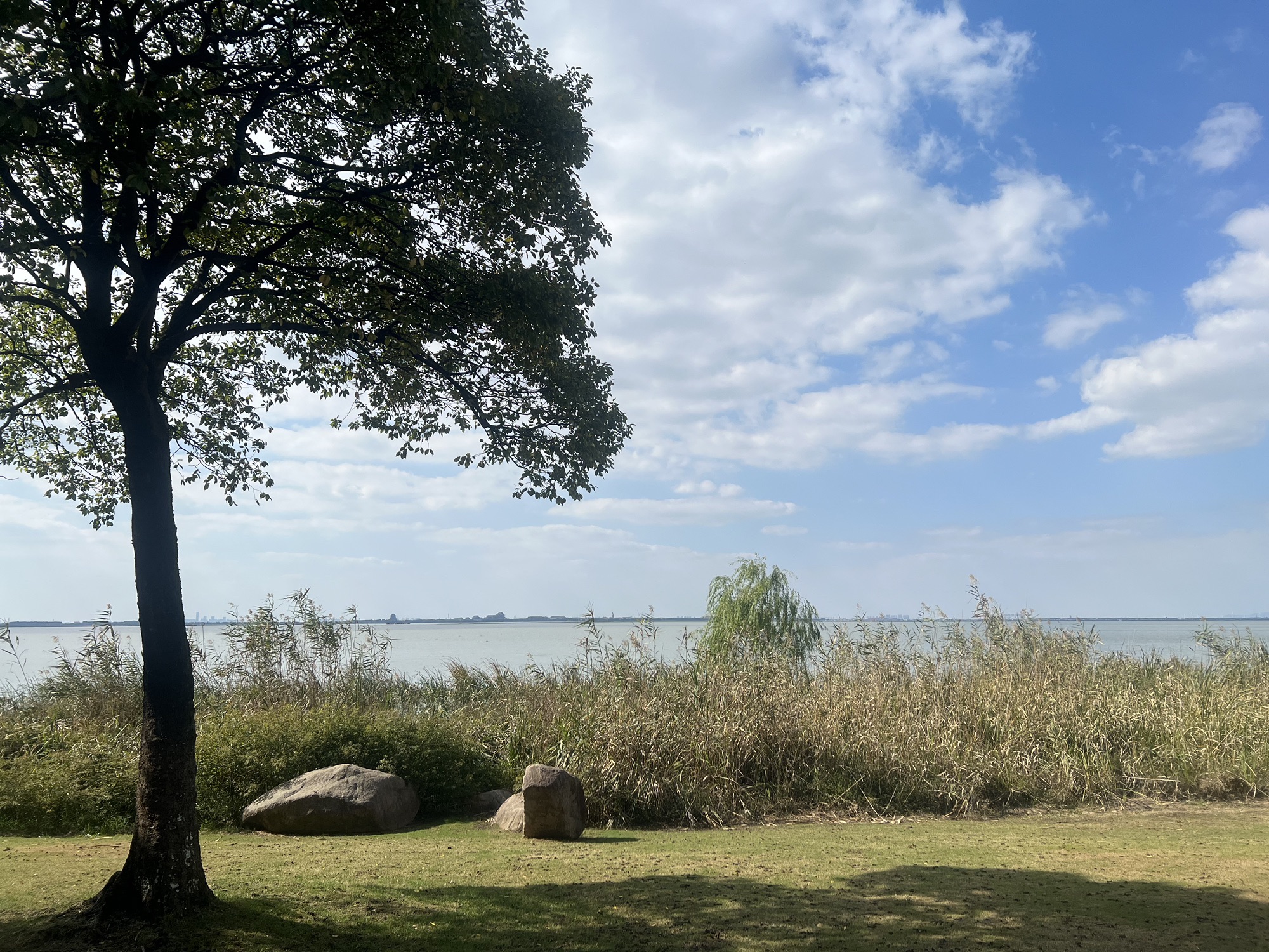 阳澄湖公园(环城西路)旅行图片 2