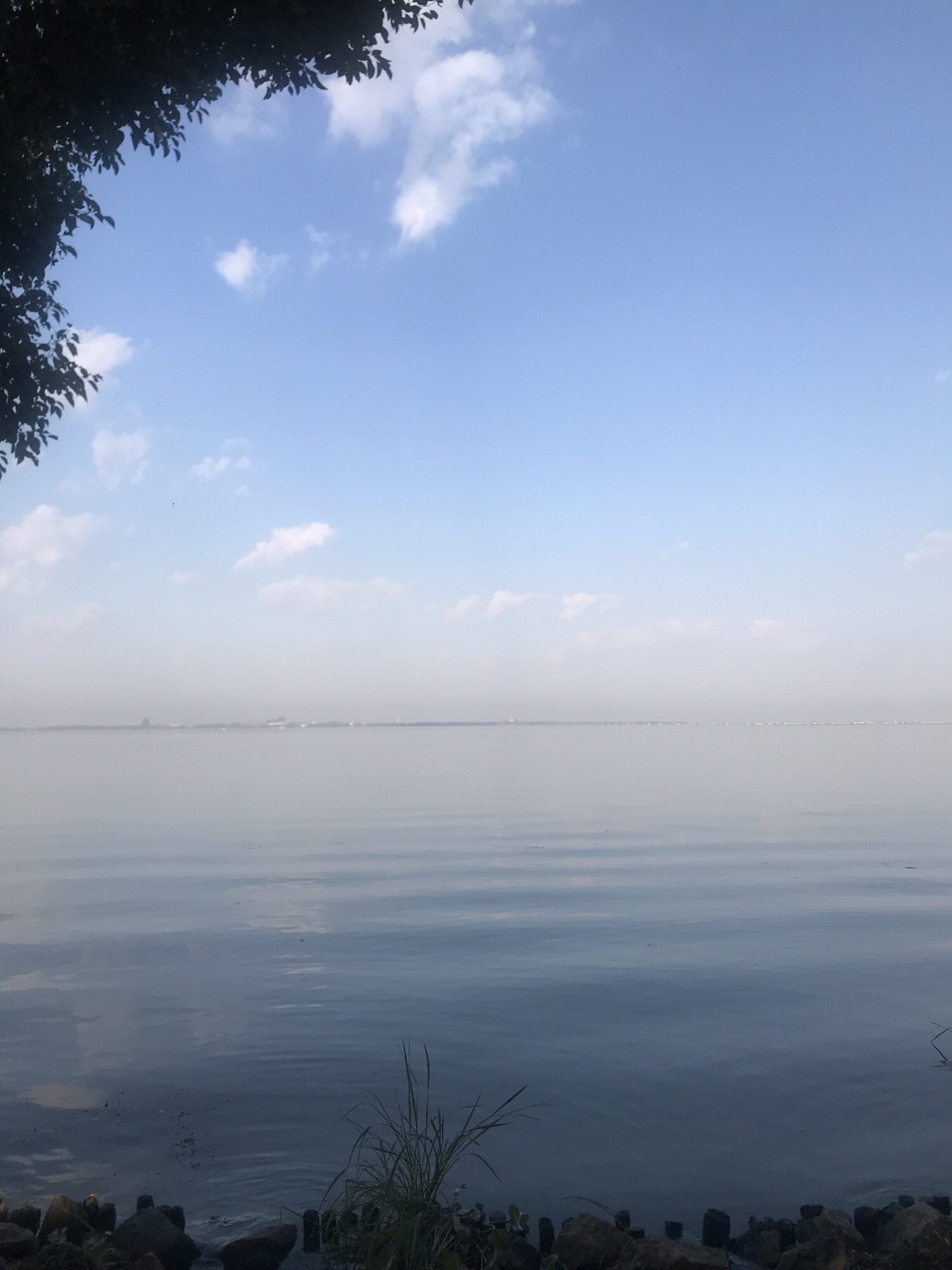 阳澄湖公园(环城西路)旅行图片 2