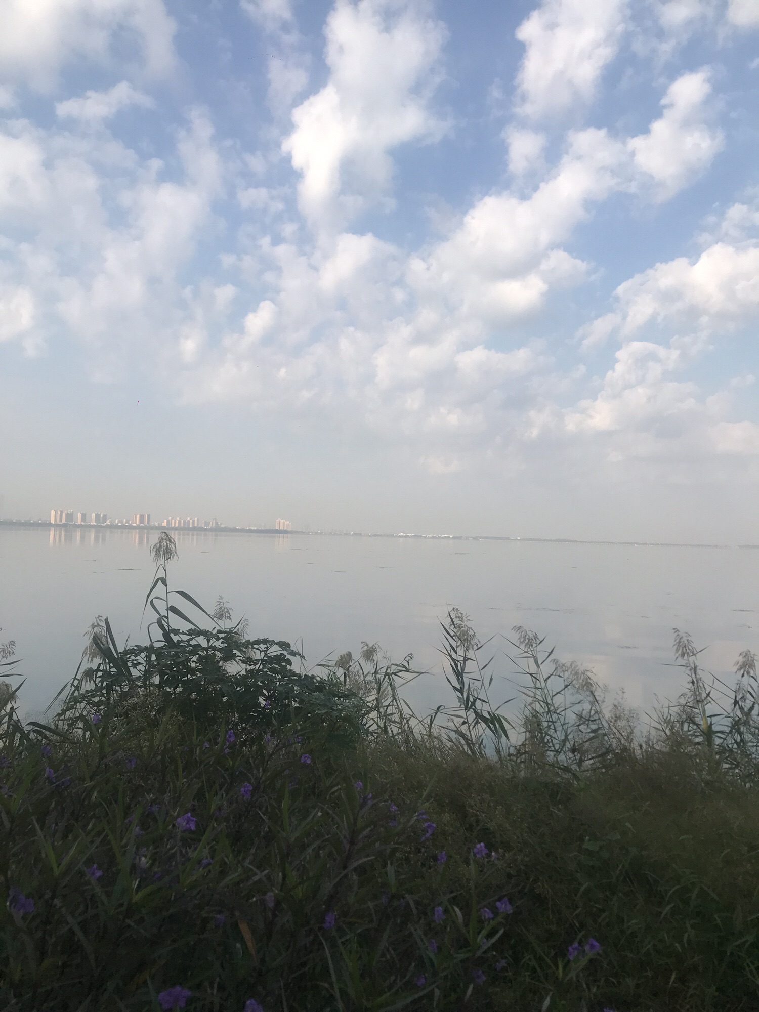 阳澄湖公园(环城西路)旅行图片 3