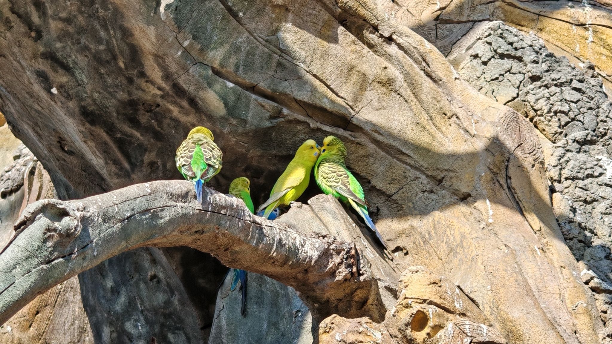 苏州江南农耕文化园旅行图片 2