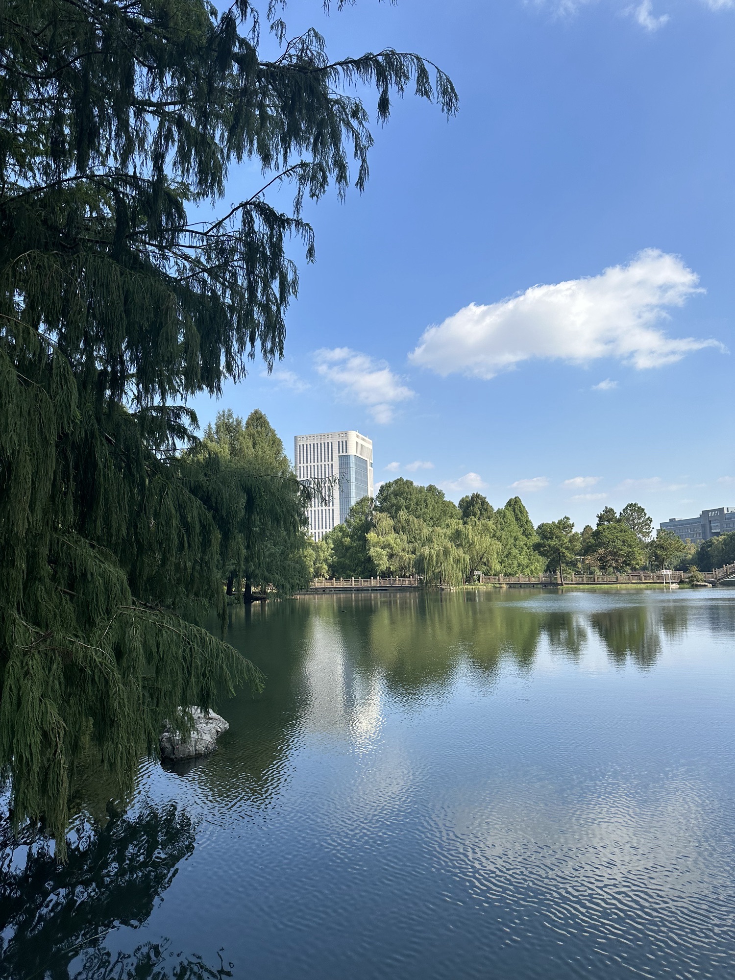 翡翠湖生态公园旅行图片 1