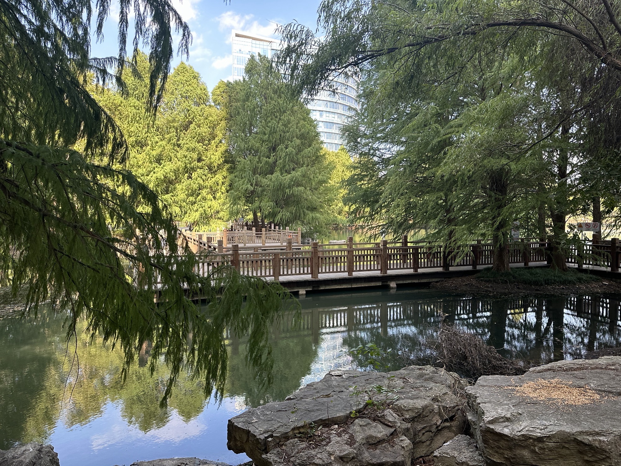 翡翠湖生态公园旅行图片 3